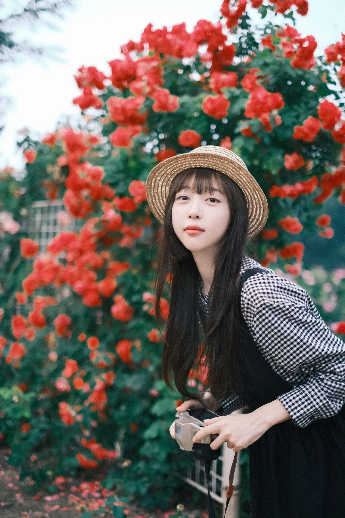 绚烂奇妙 总会绽放2