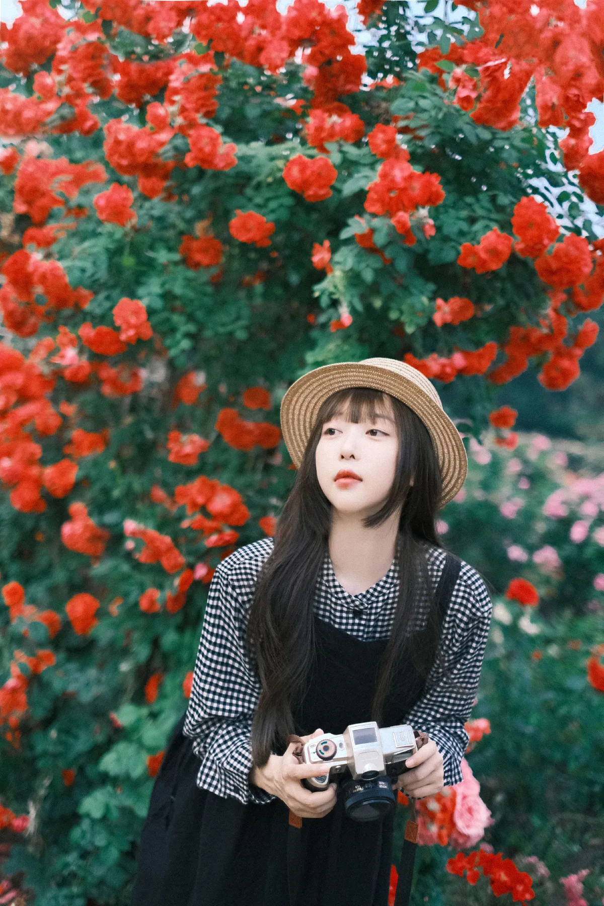 绚烂奇妙 总会绽放3