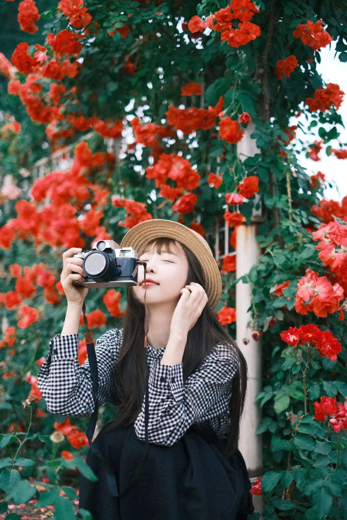 绚烂奇妙 总会绽放