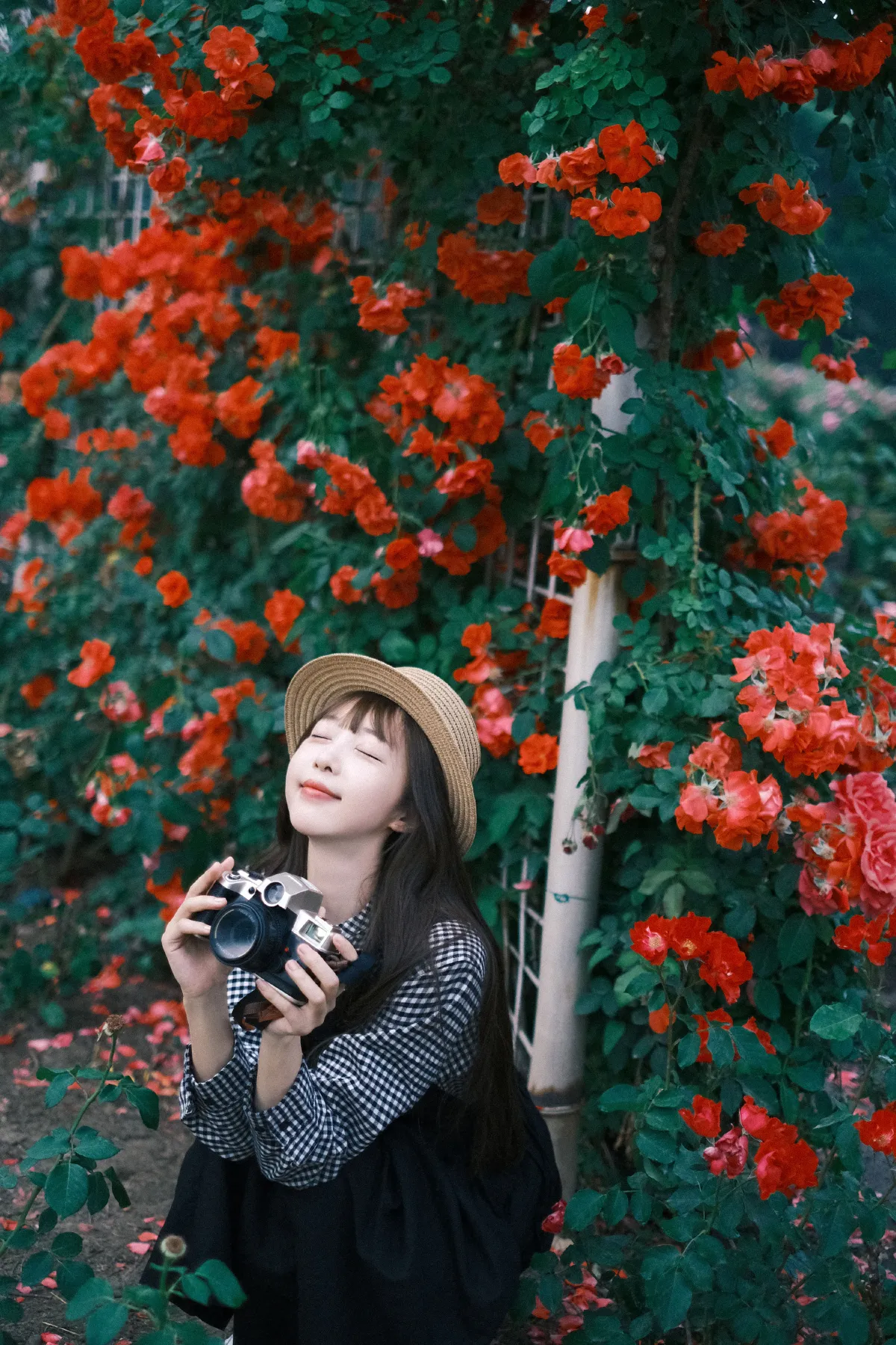 绚烂奇妙 总会绽放