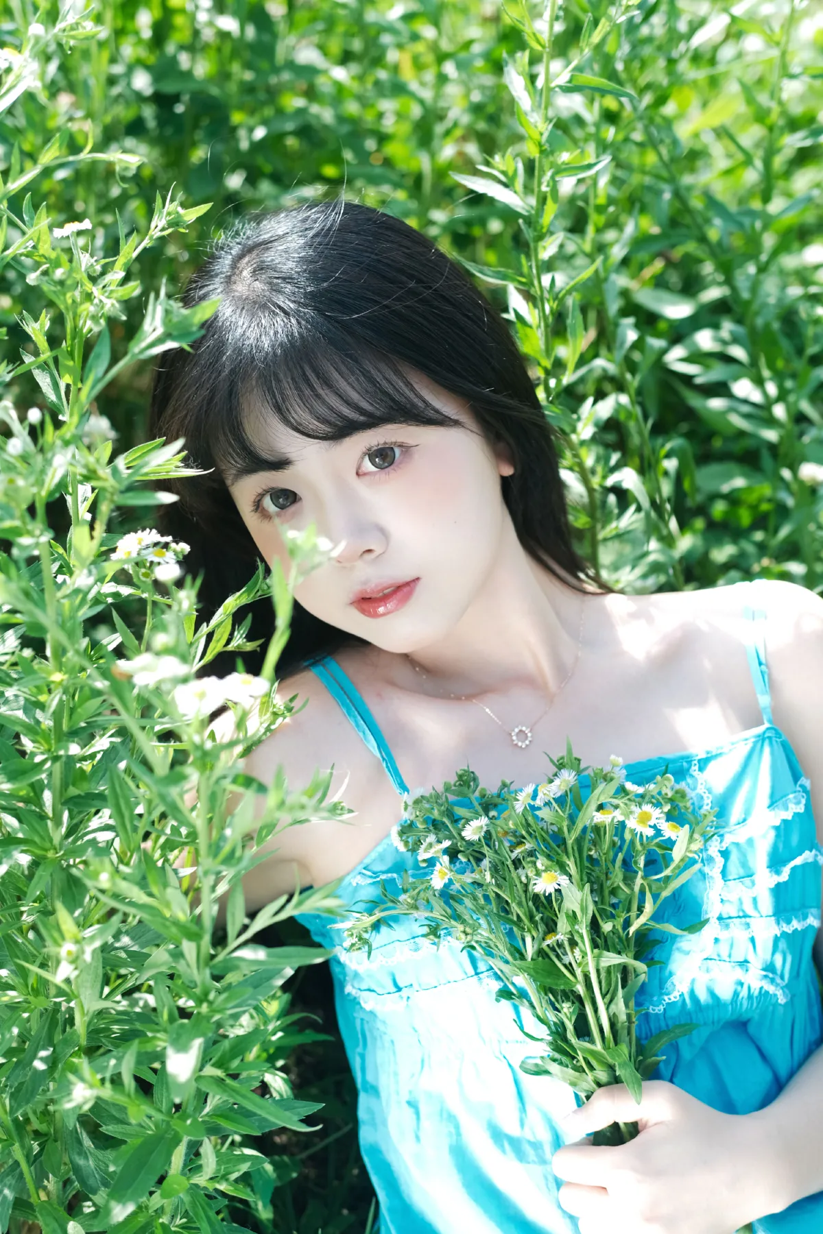 雏菊少女2