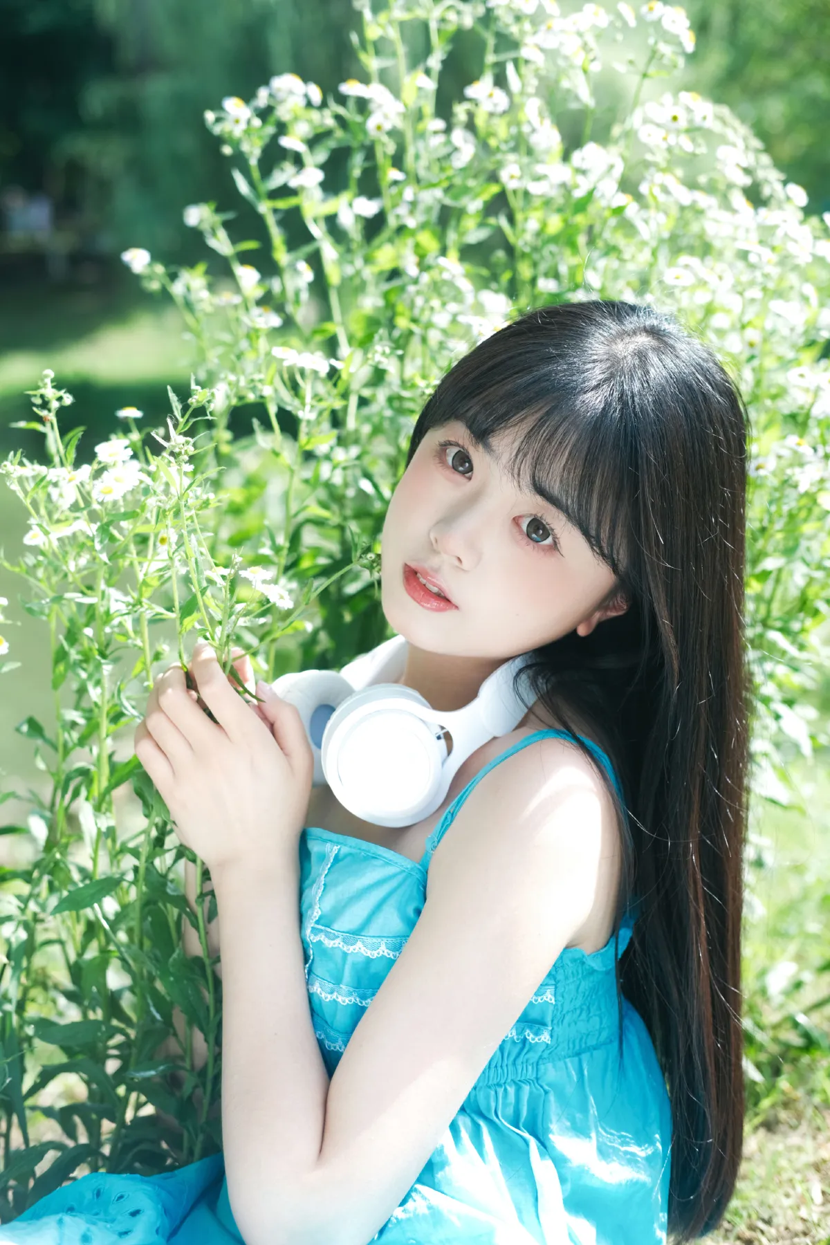 雏菊少女3