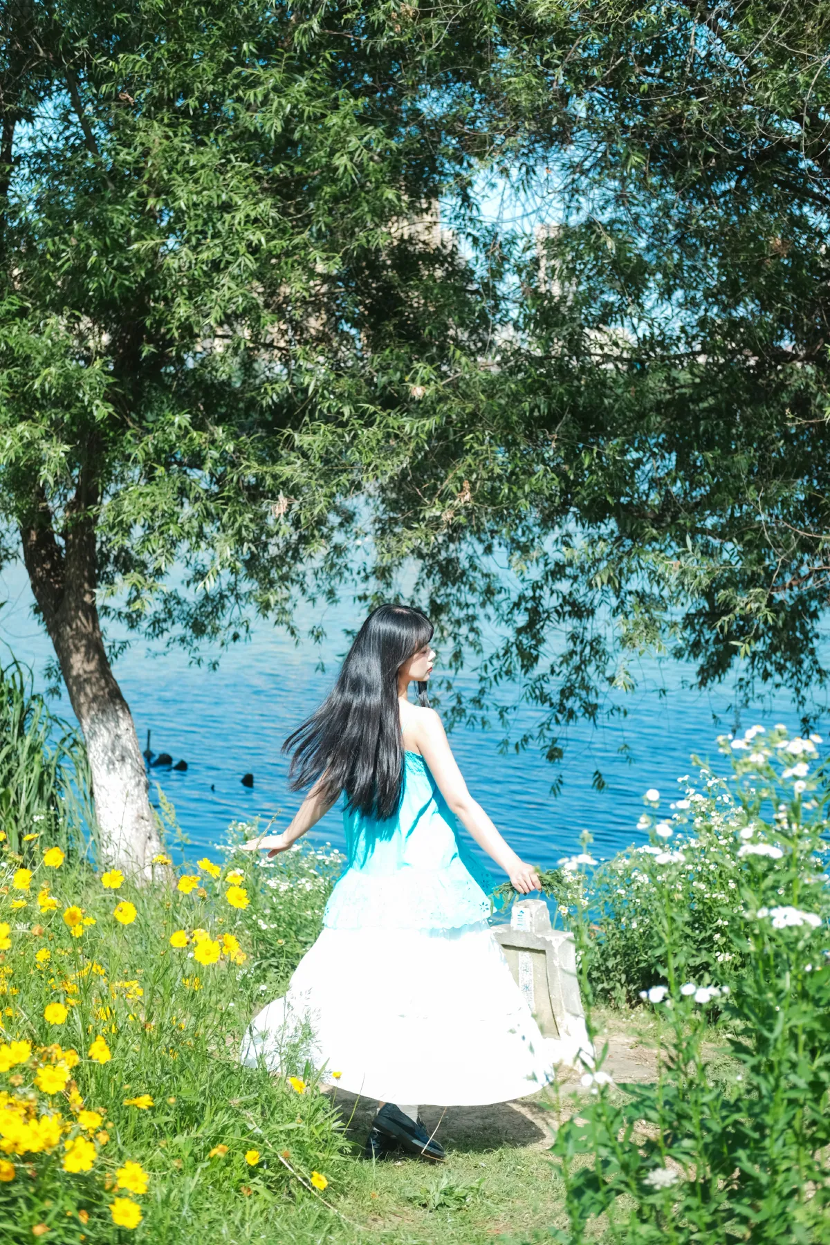 雏菊少女