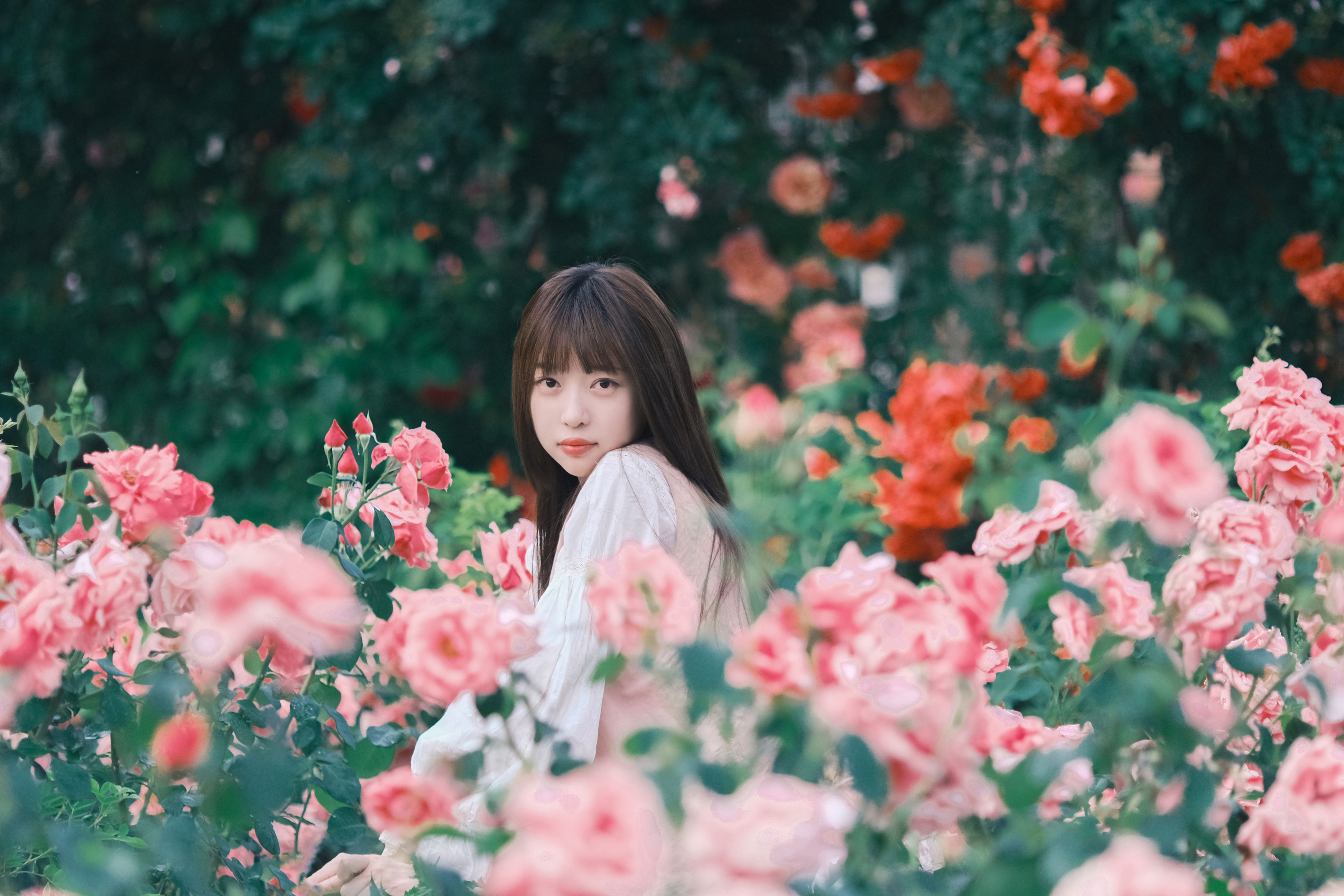 不止玫瑰有爱意1