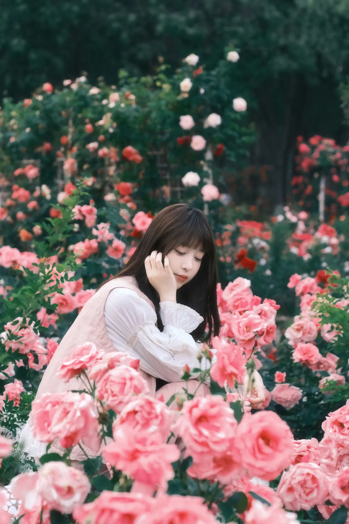 不止玫瑰有爱意2