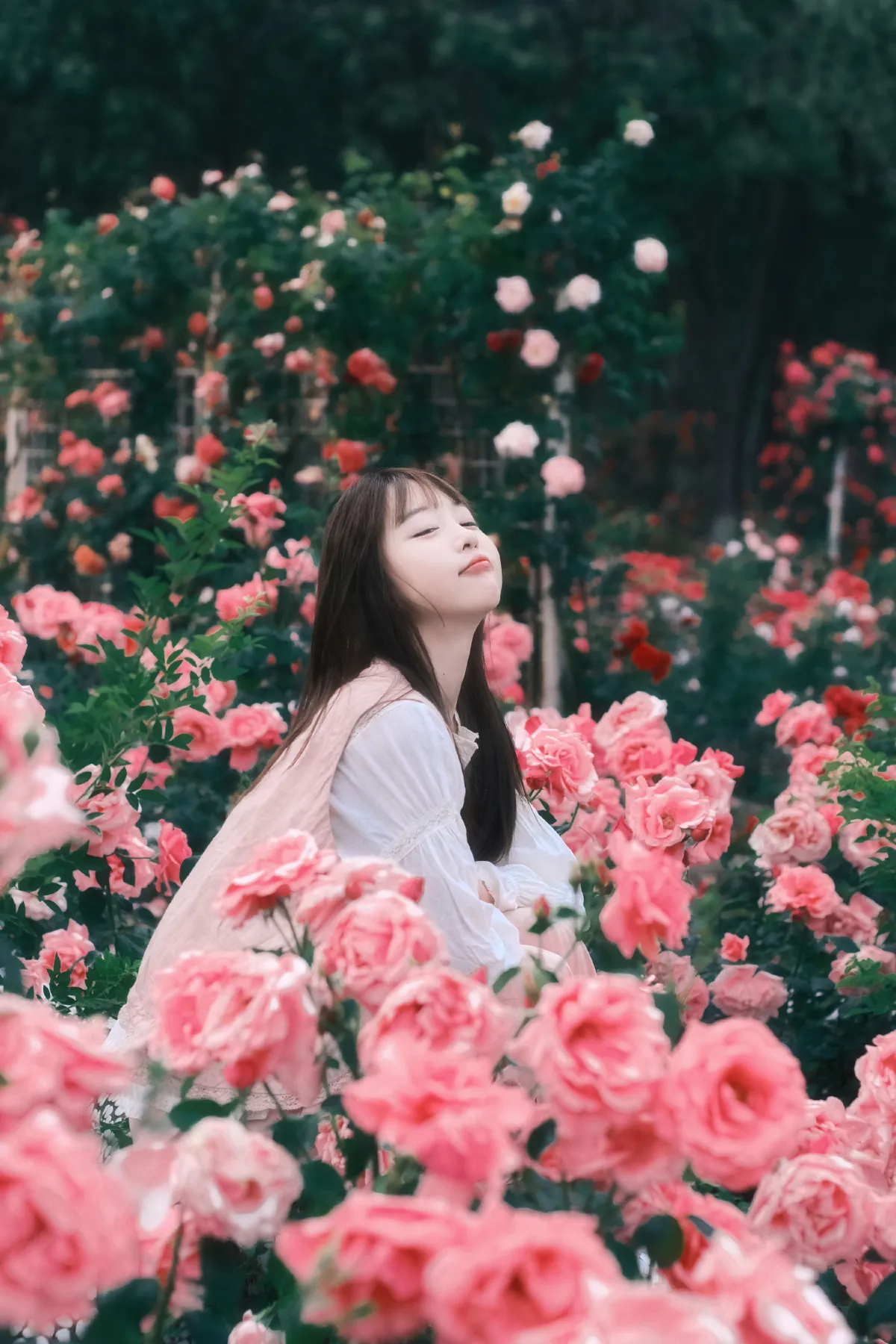 不止玫瑰有爱意3