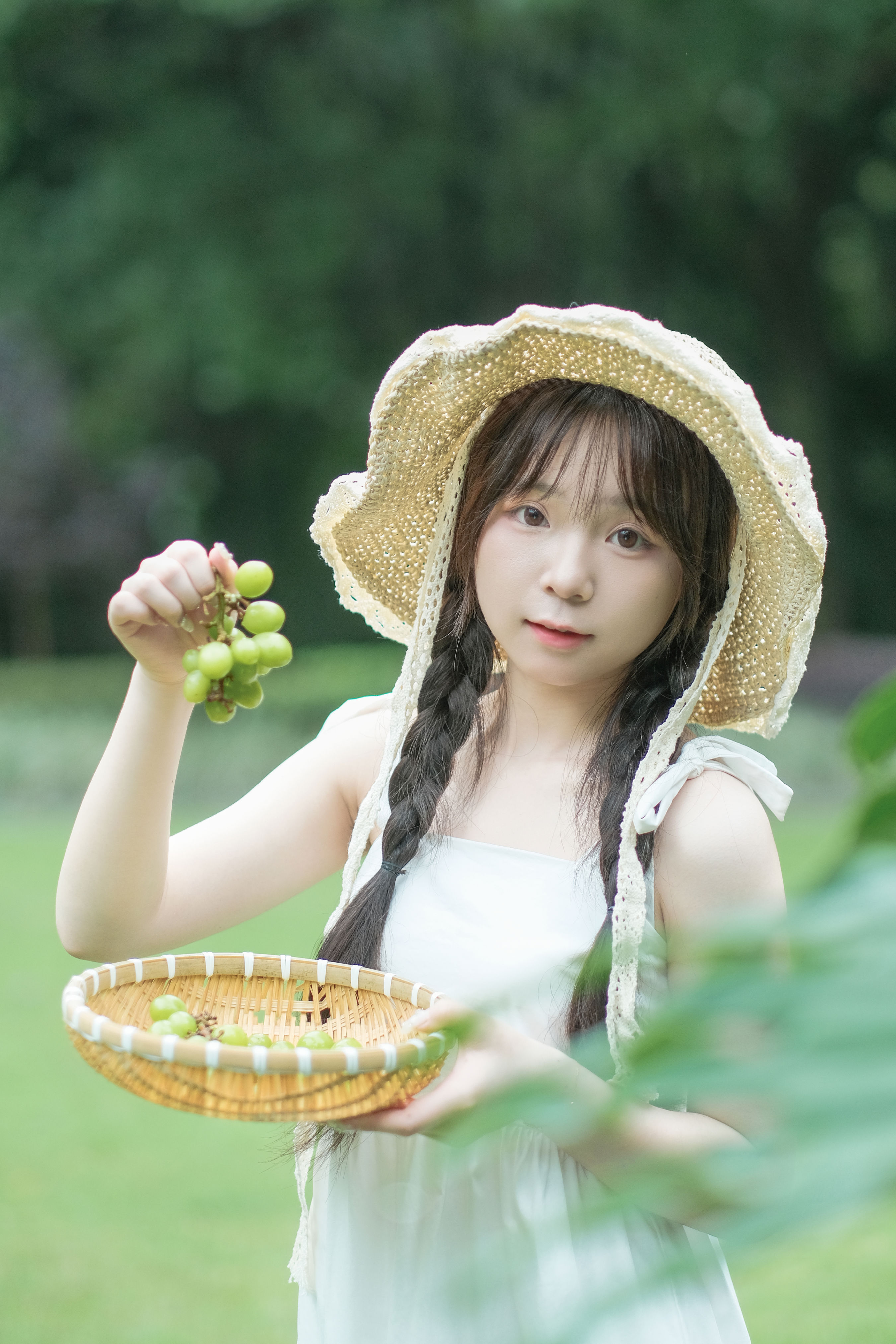 雨后青提