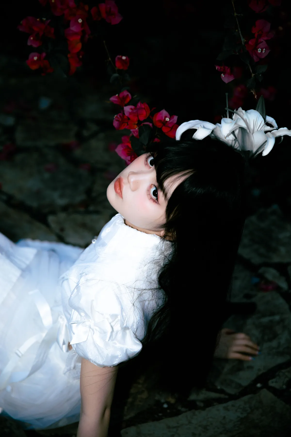 白色百合2