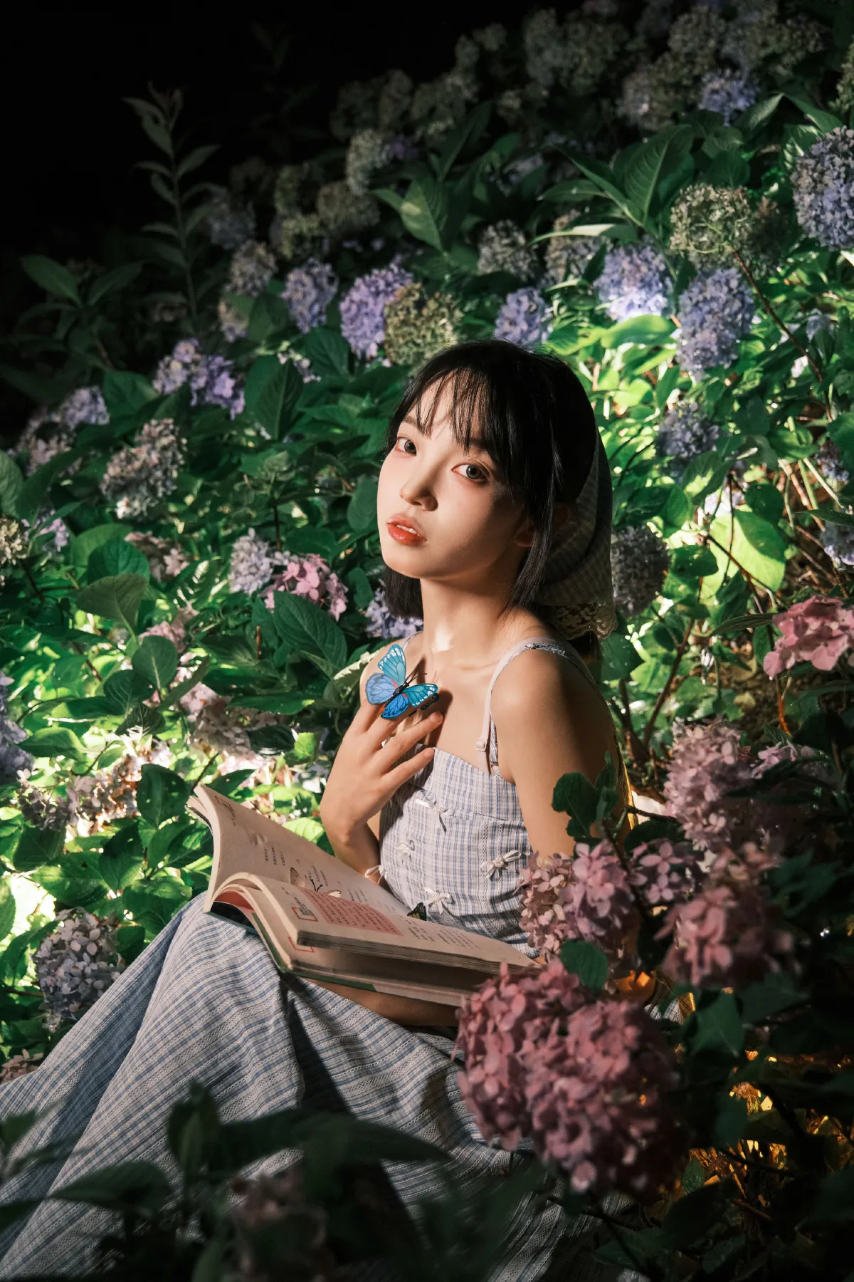 夜拍绣球1
