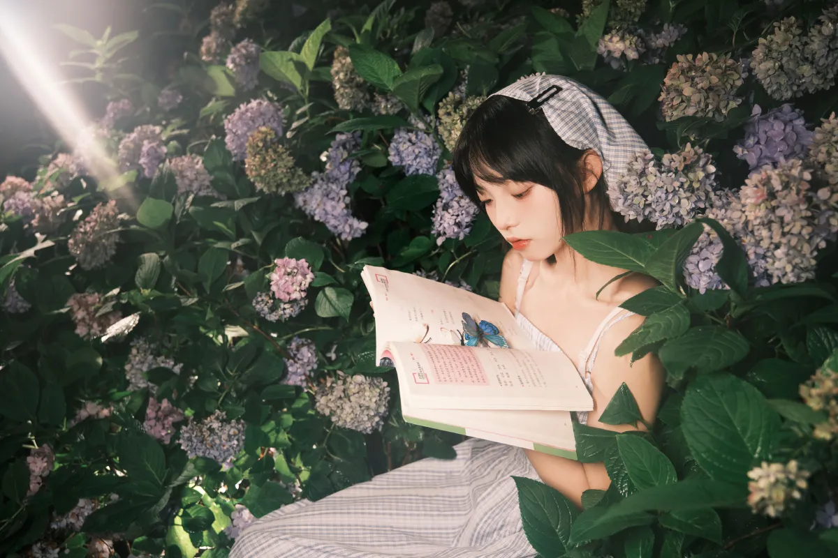 夜拍绣球