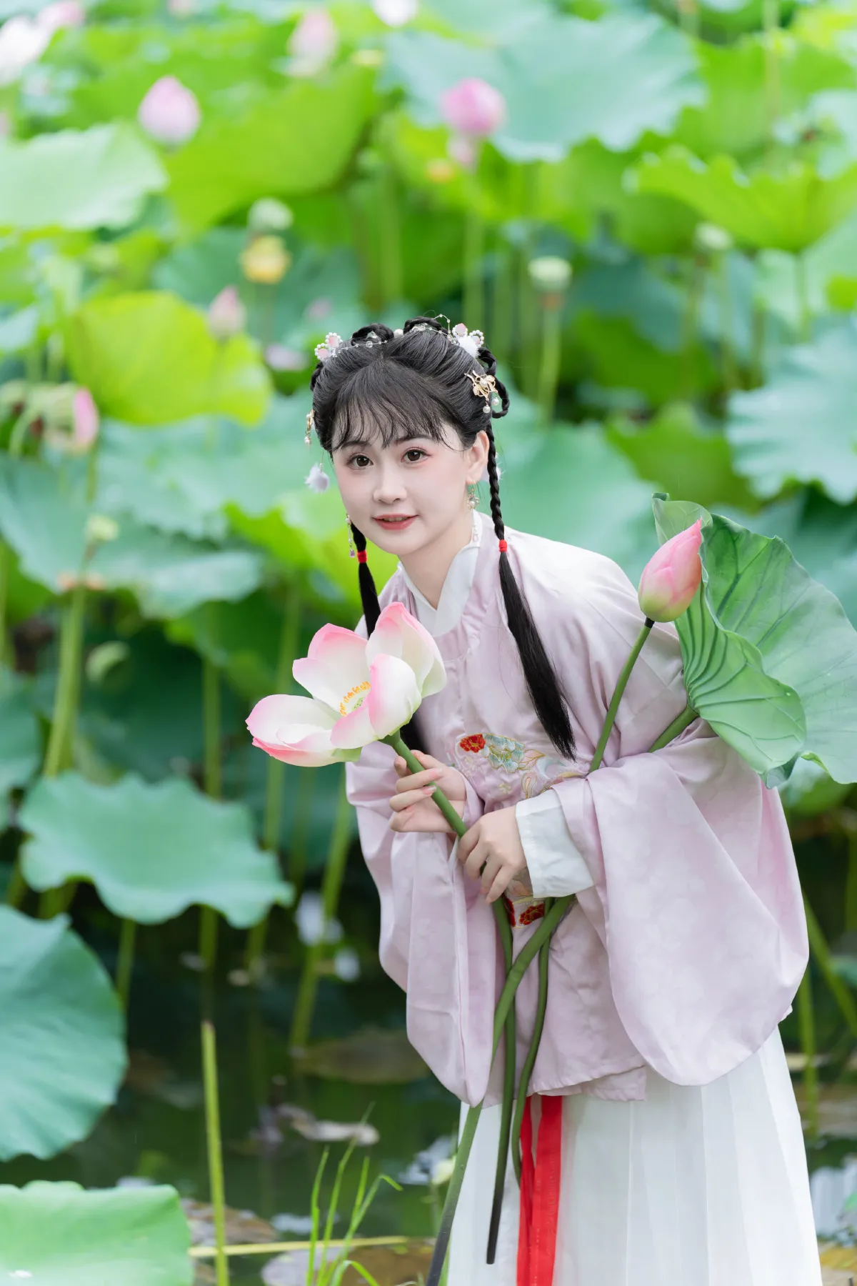 荷花的夏天