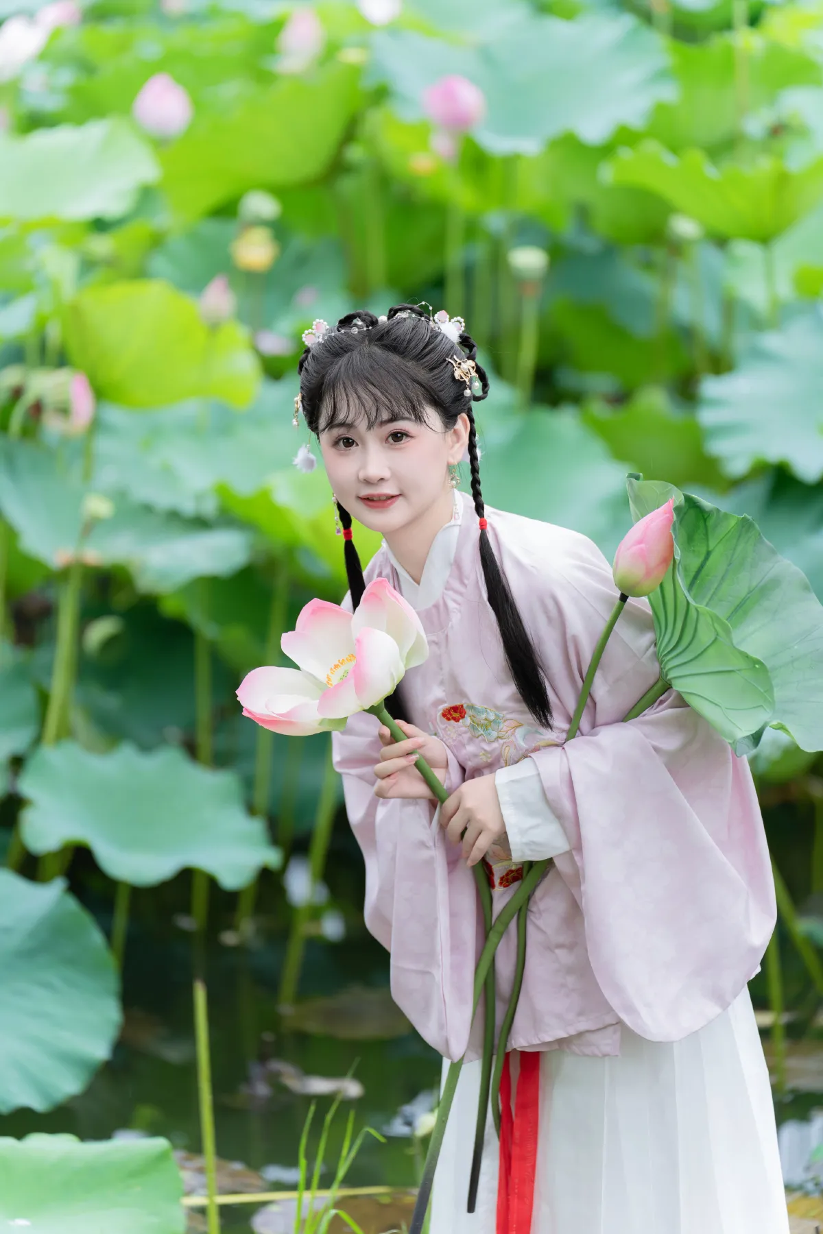 荷花的夏天2