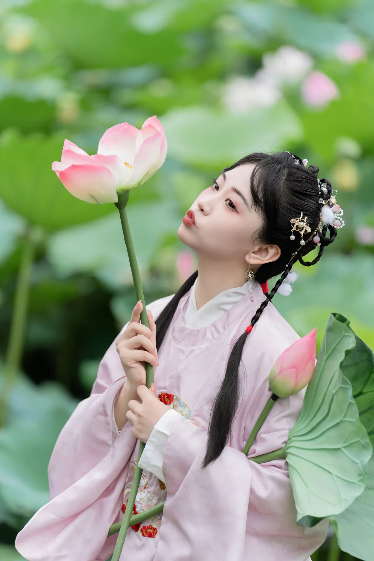 荷花的夏天