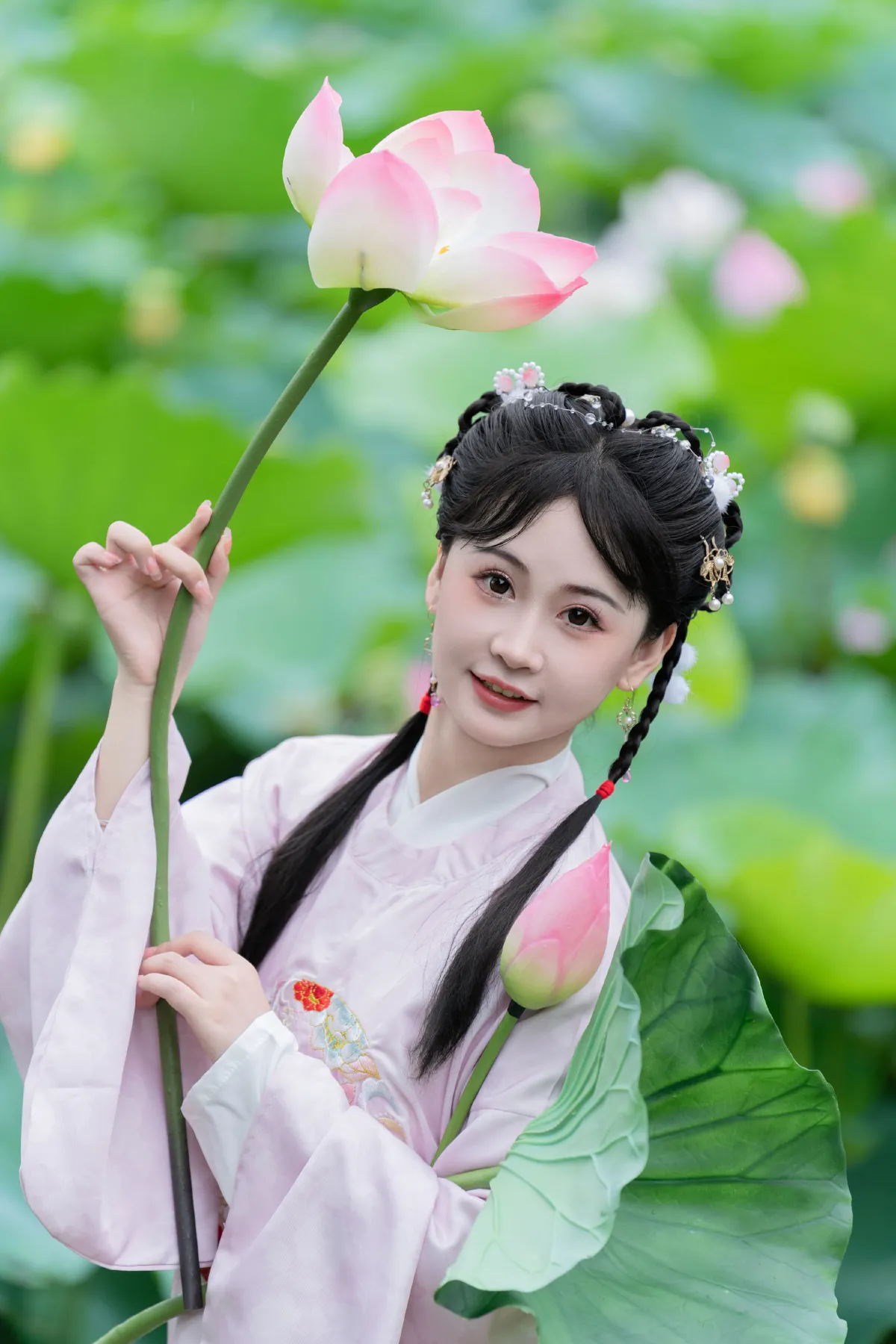 荷花的夏天3