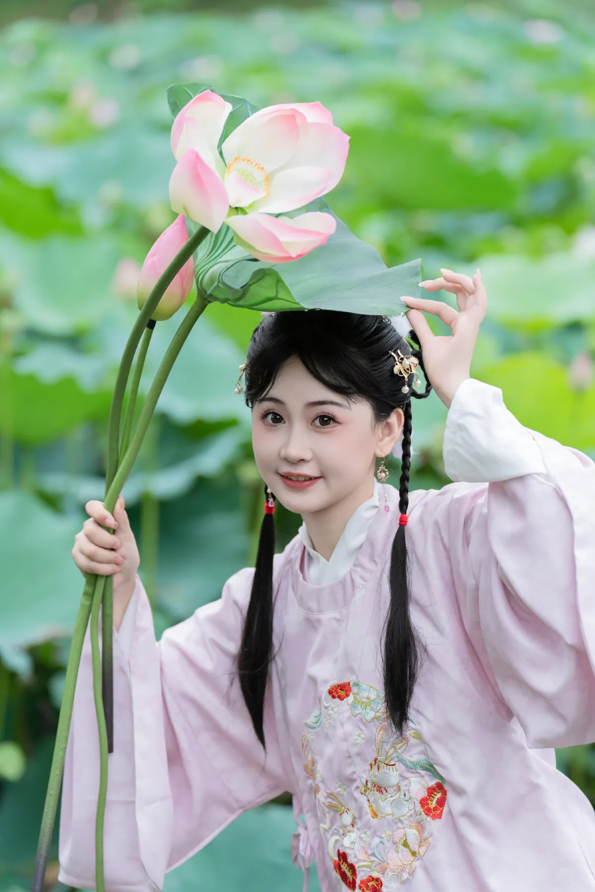 荷花的夏天