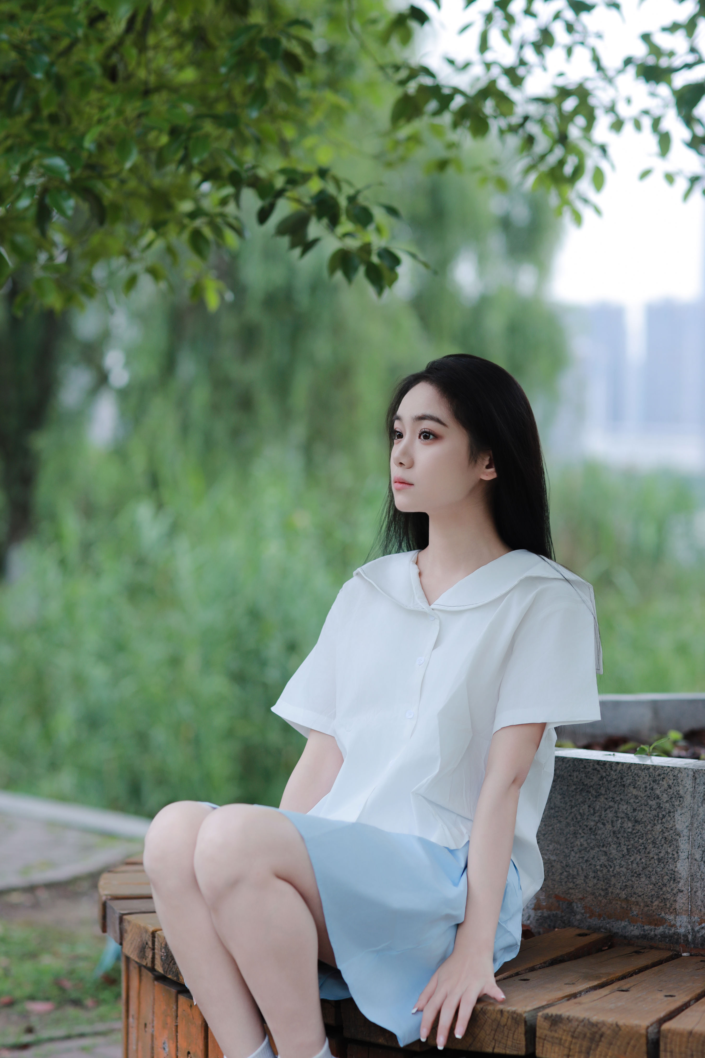 树荫下的清爽夏日