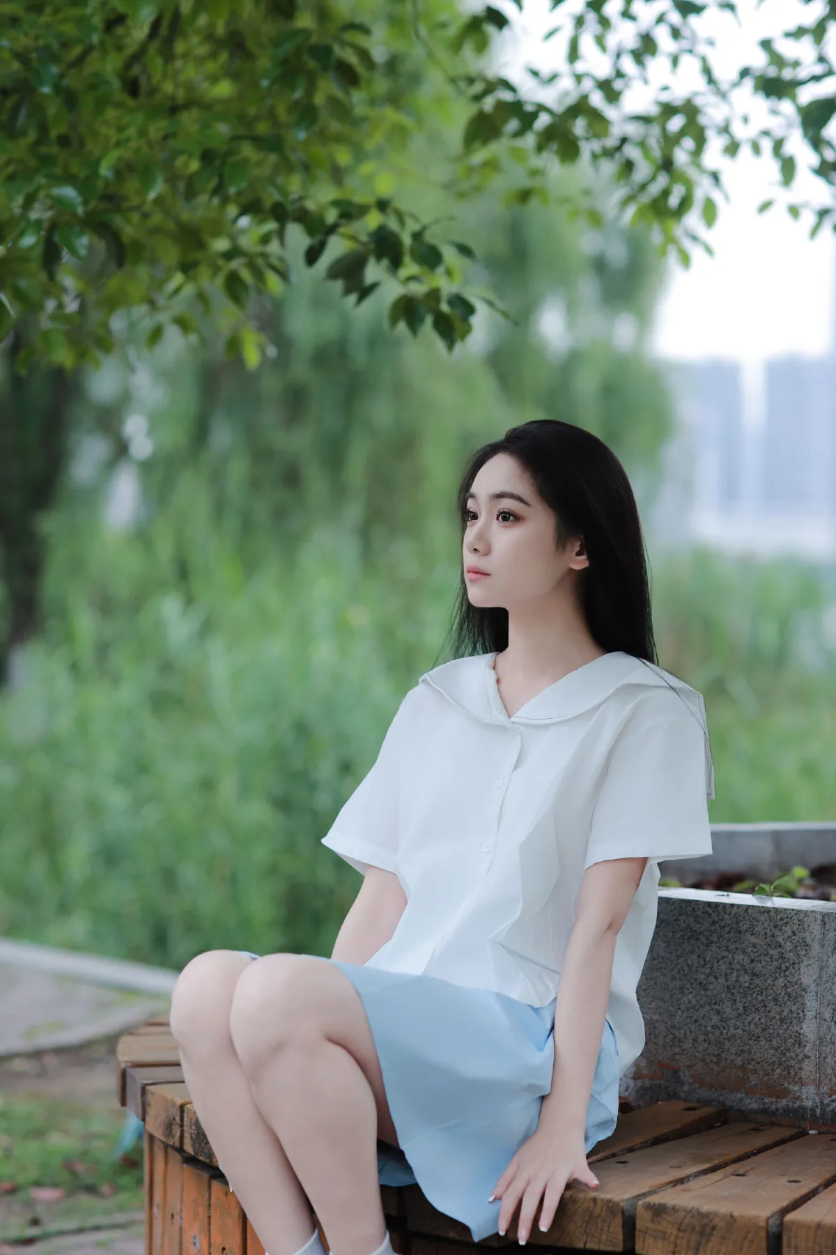 树荫下的清爽夏日