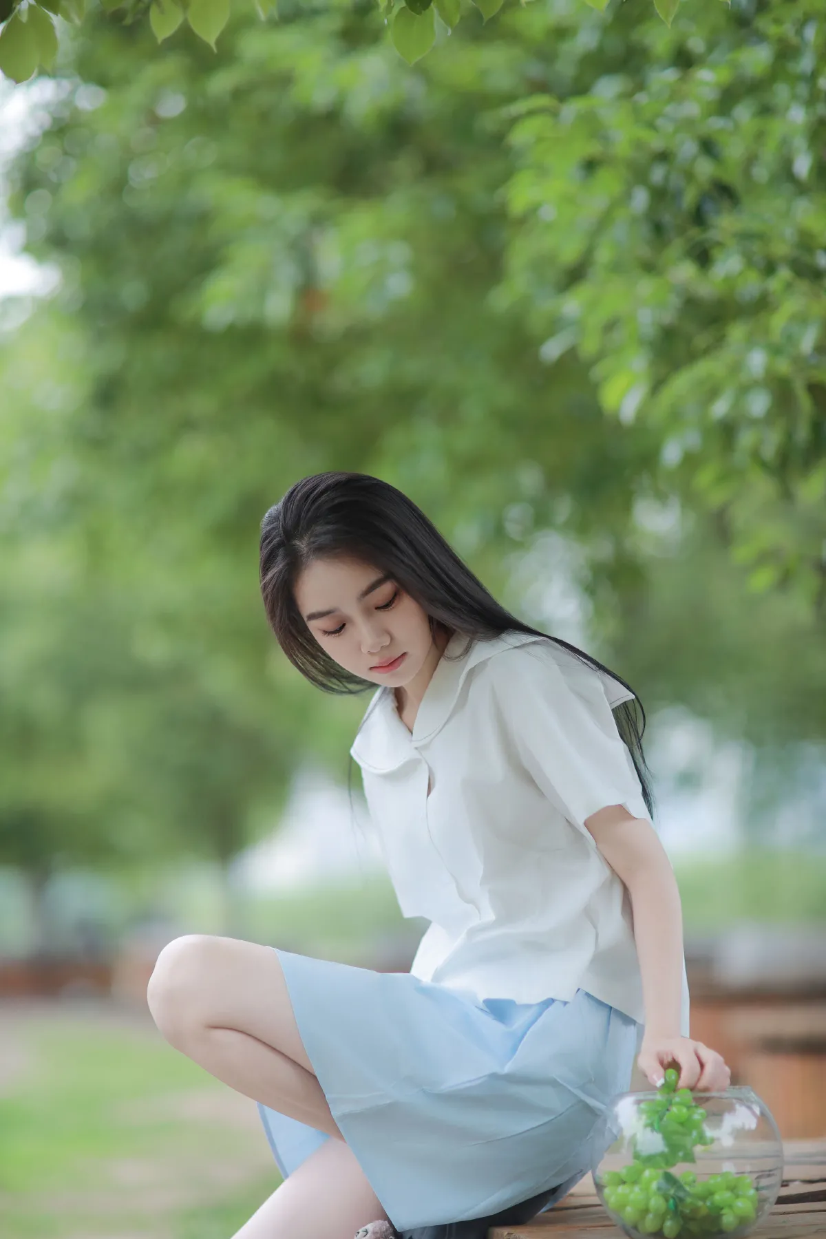 树荫下的清爽夏日2