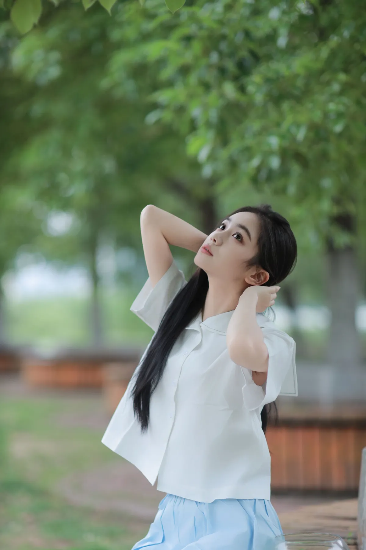 树荫下的清爽夏日