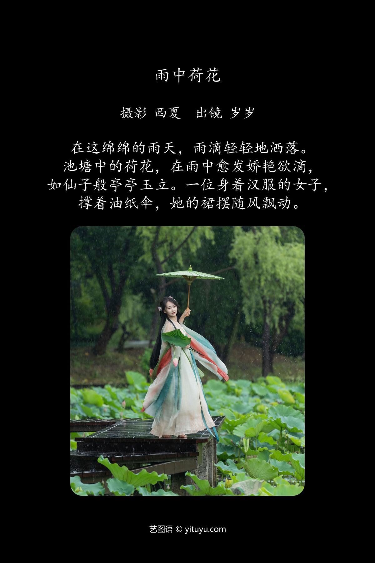 西夏_湫一只岁岁《雨中荷花》美图作品图片2