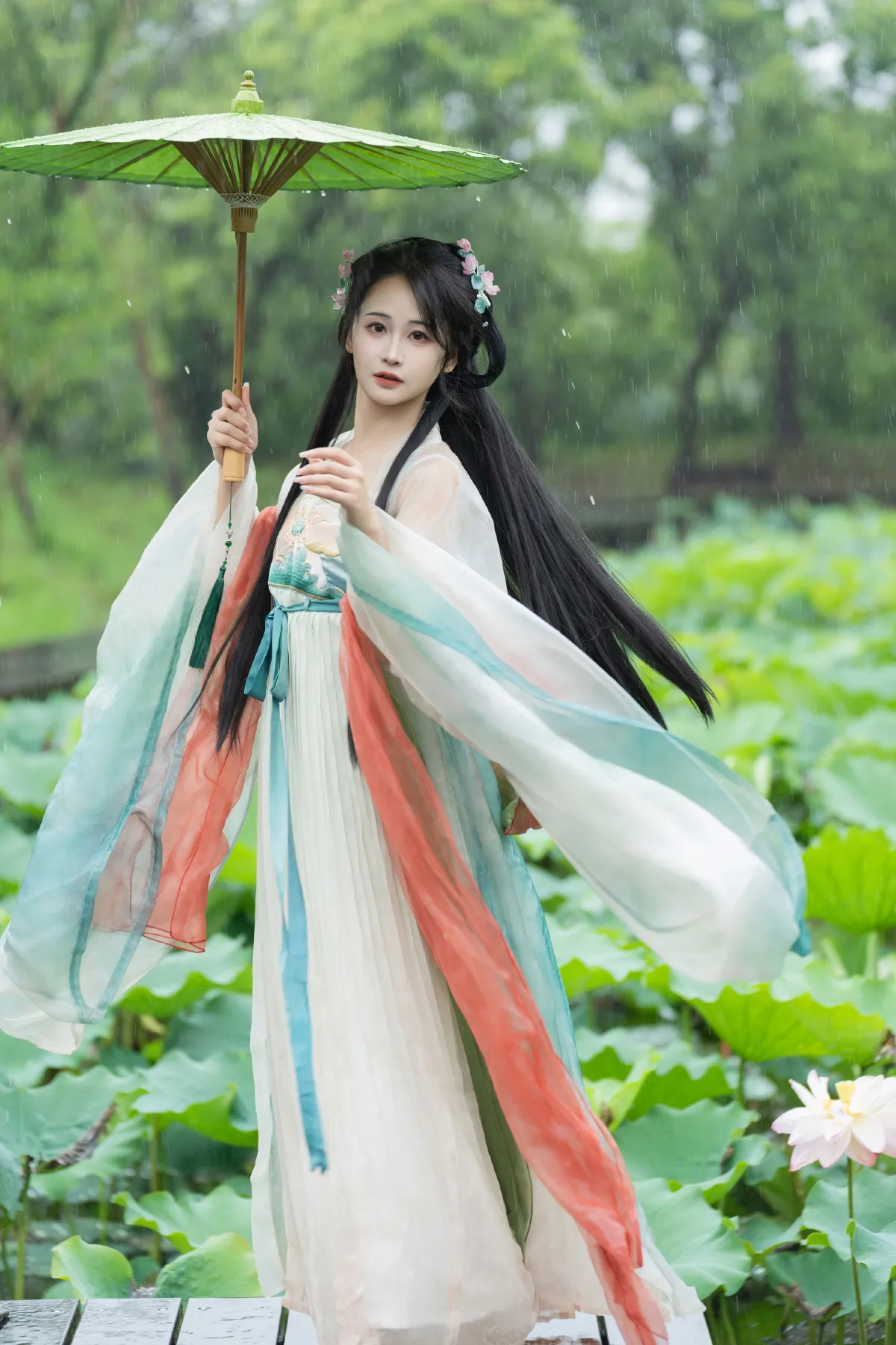 雨中荷花1
