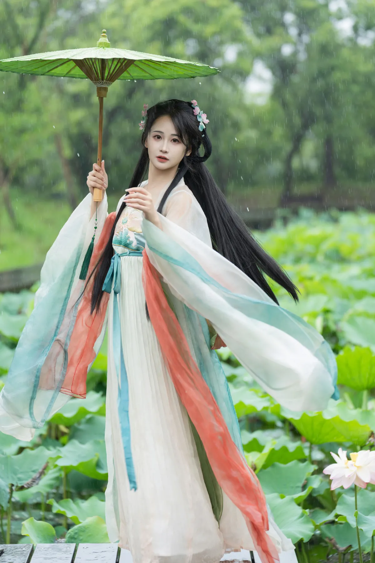 雨中荷花1