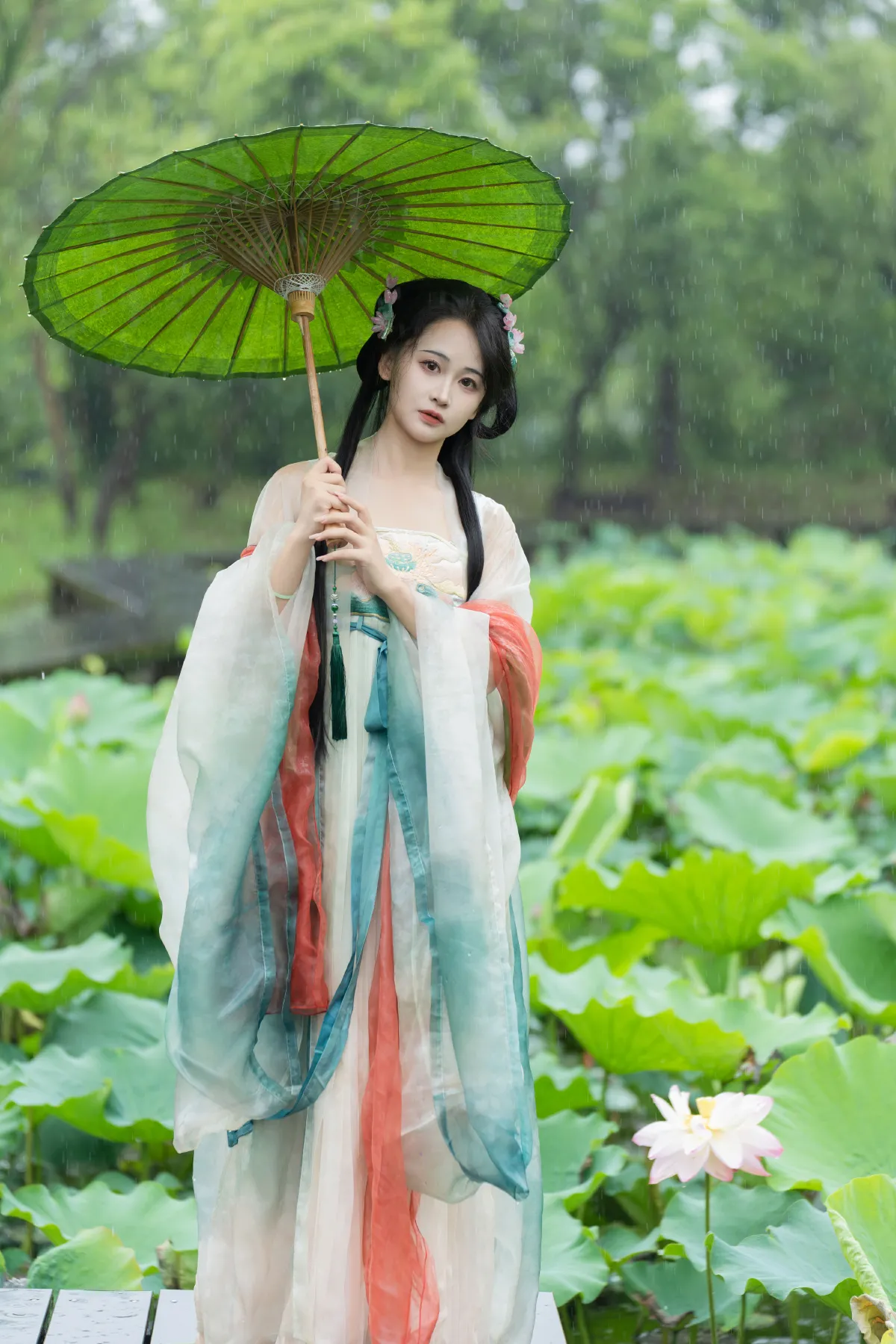 雨中荷花2