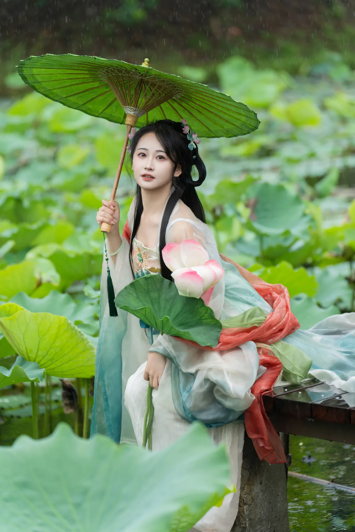 雨中荷花3