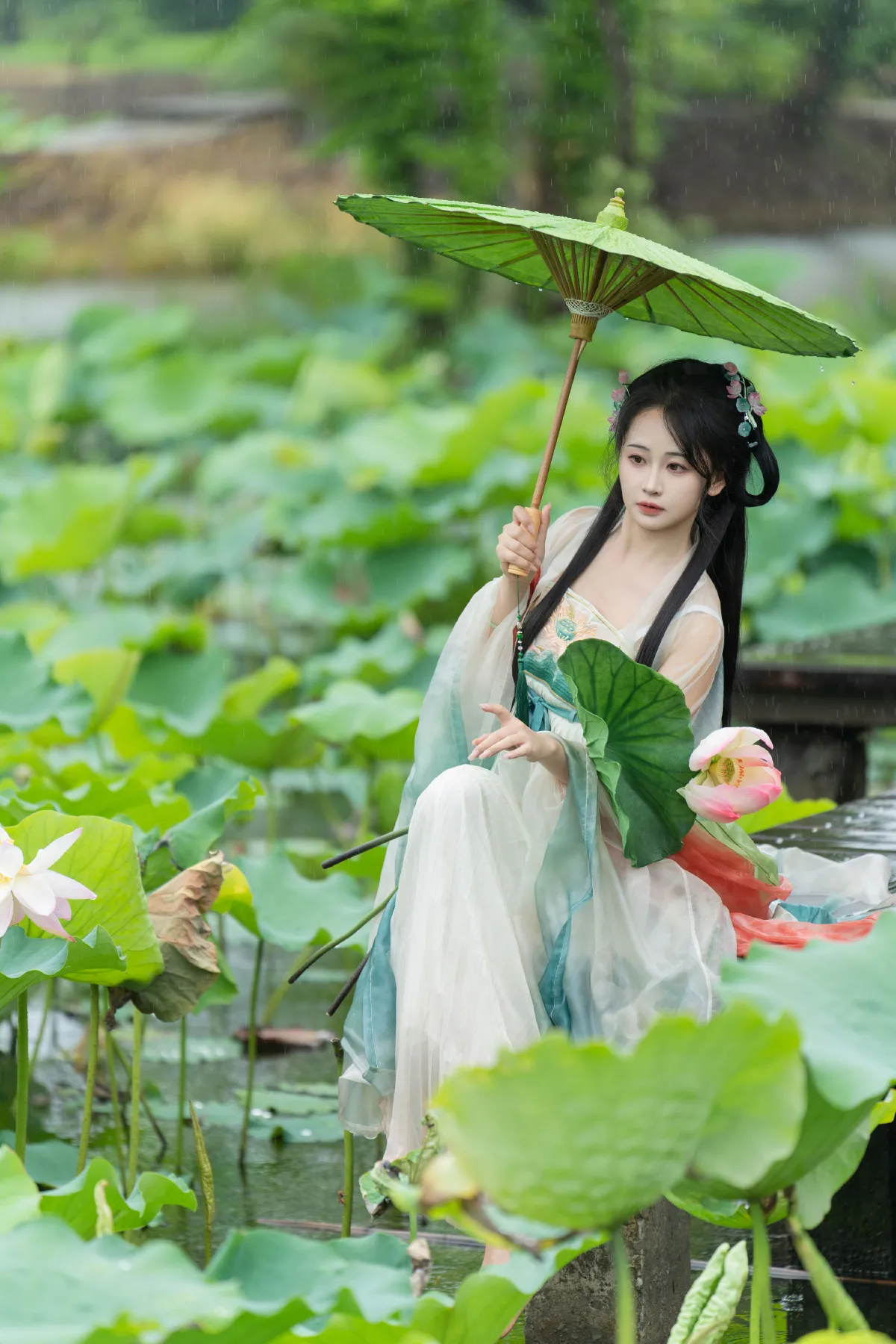 西夏_湫一只岁岁《雨中荷花》美图作品图片4