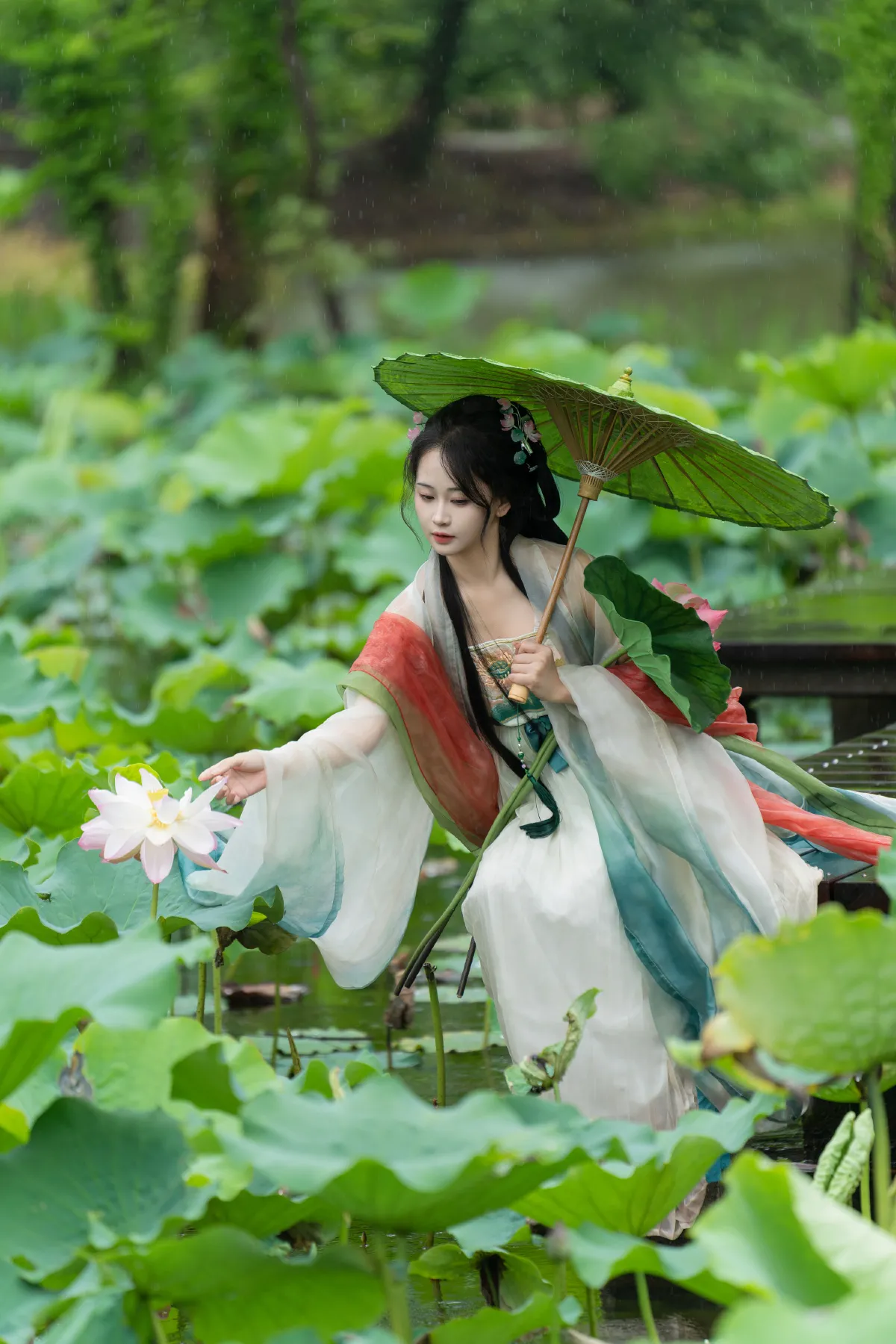 西夏_湫一只岁岁《雨中荷花》美图作品图片5