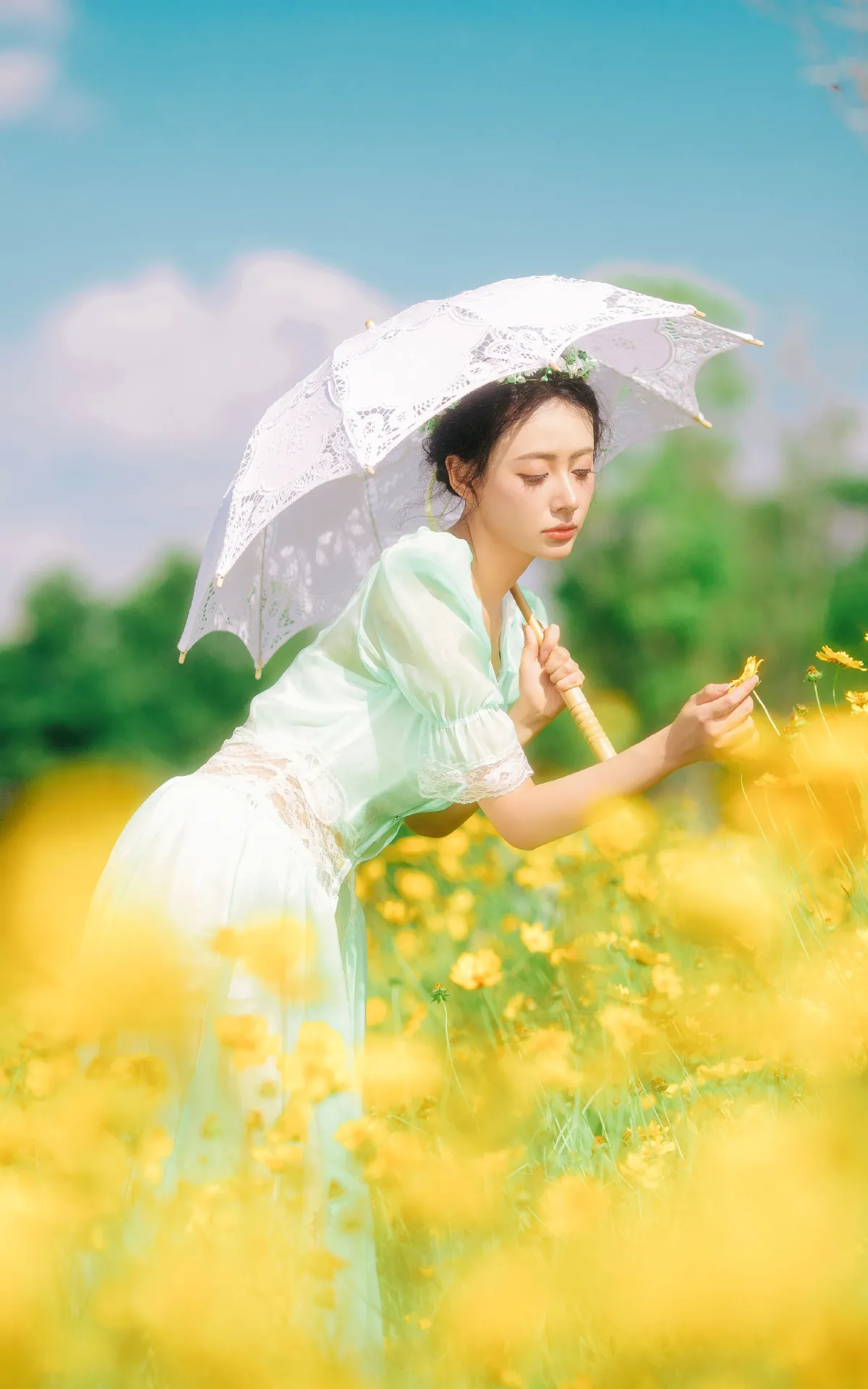 开在夏日里的花