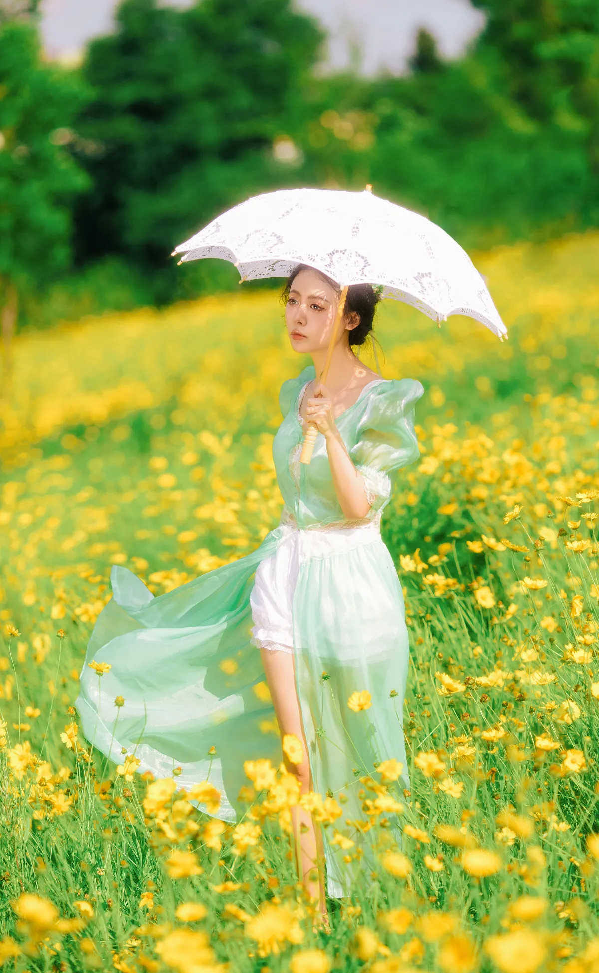 开在夏日里的花1