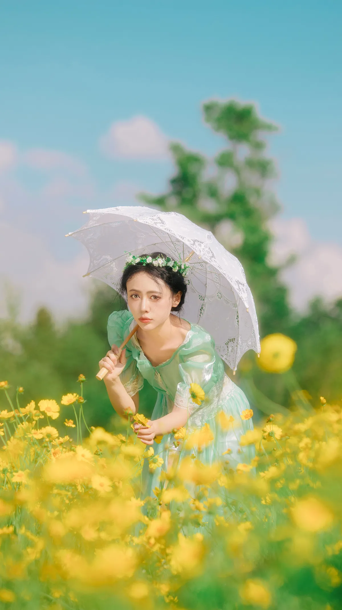 开在夏日里的花
