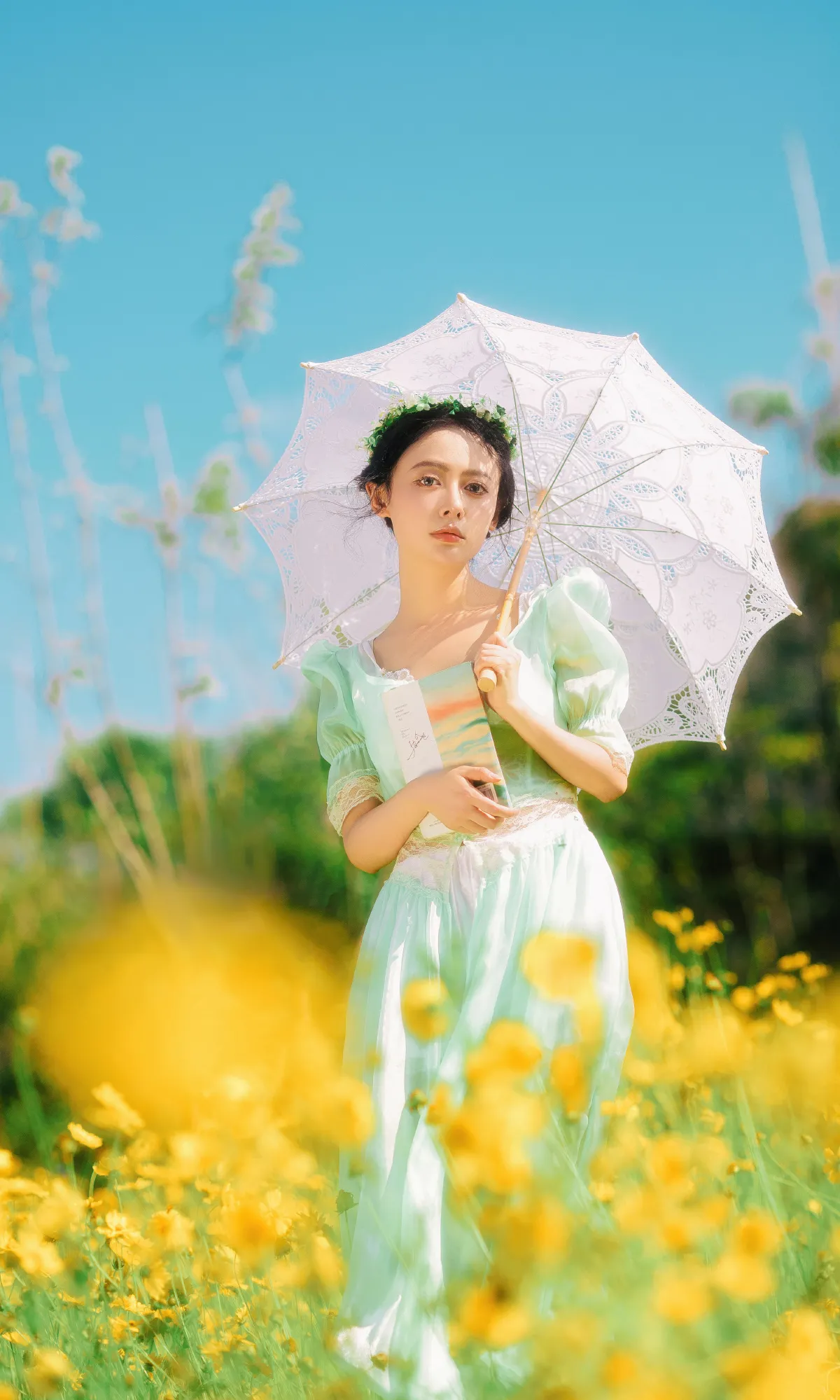 开在夏日里的花3