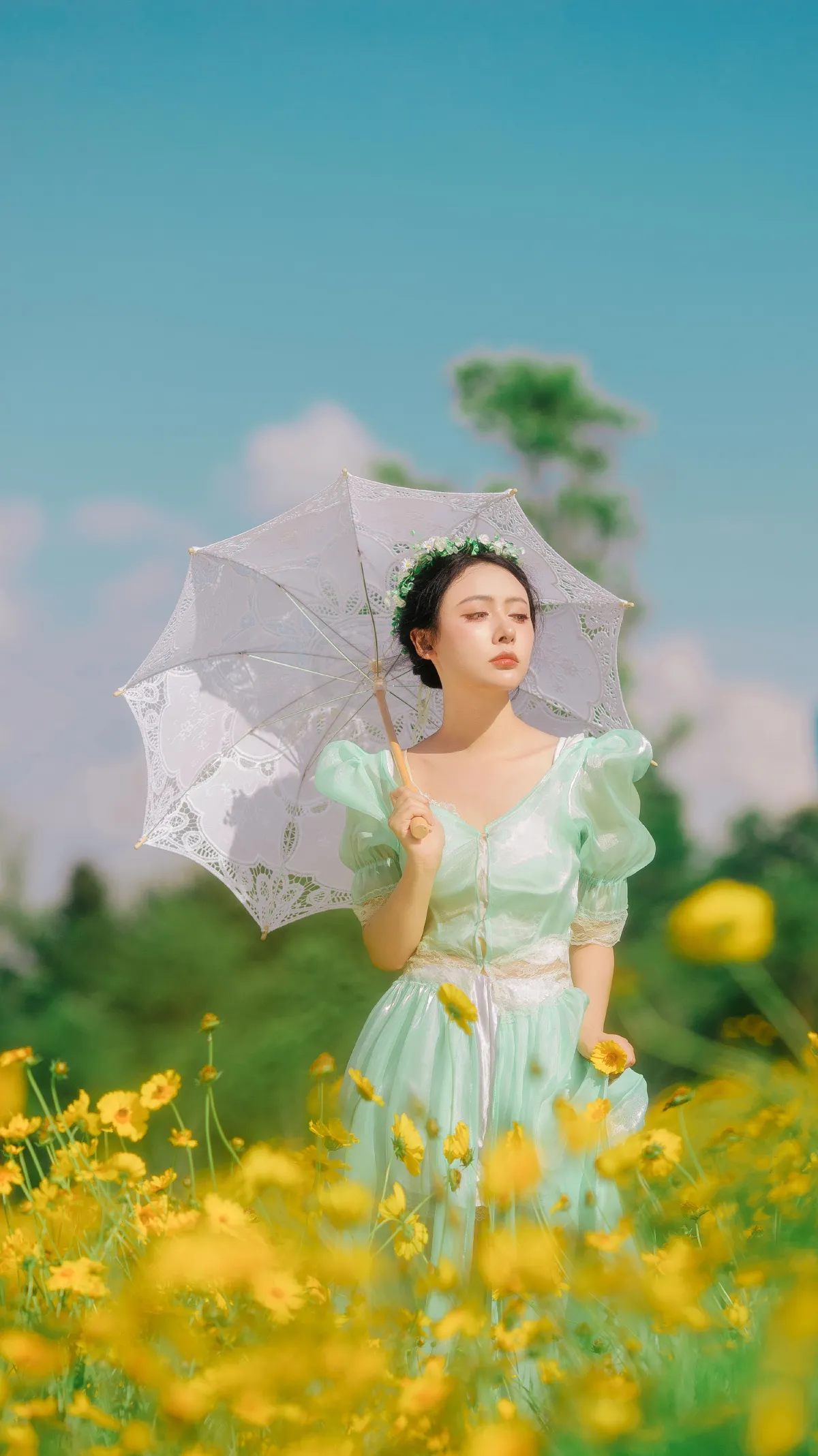 开在夏日里的花
