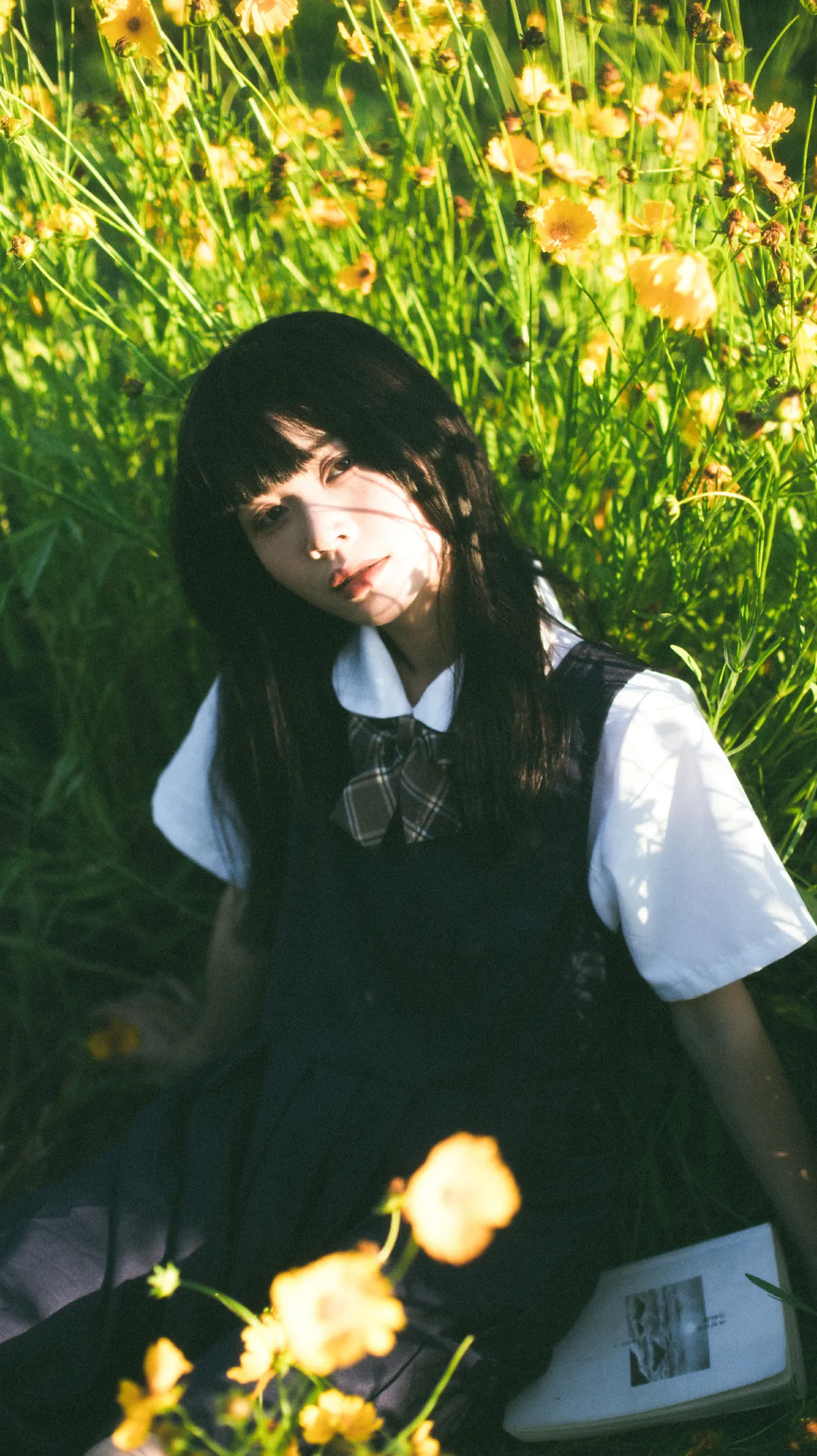 小黄花1