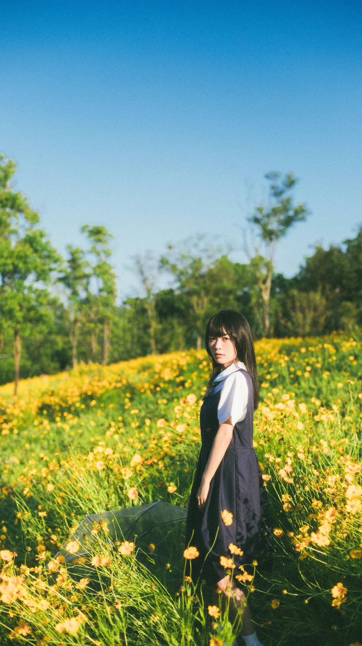 小黄花2