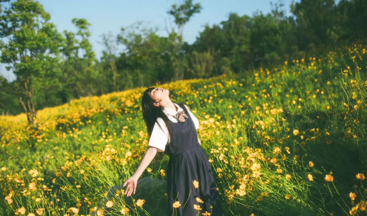 小黄花3