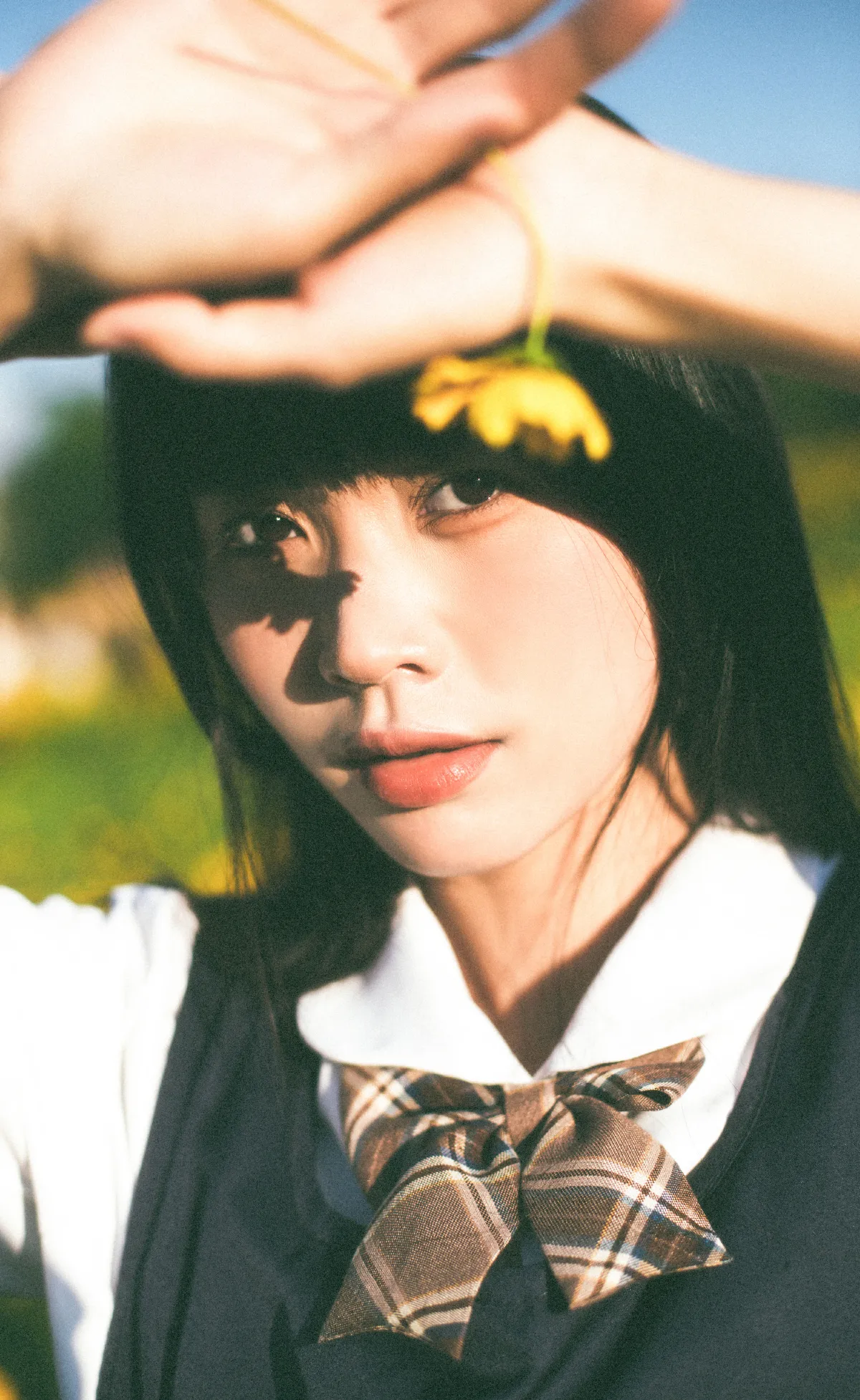 小黄花