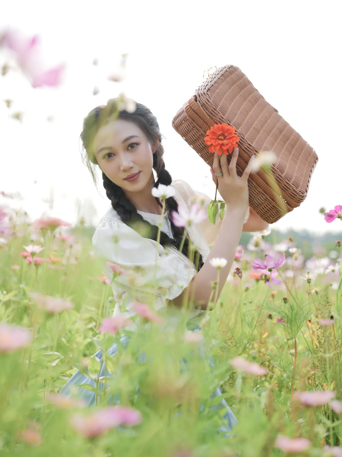 花海浪漫1