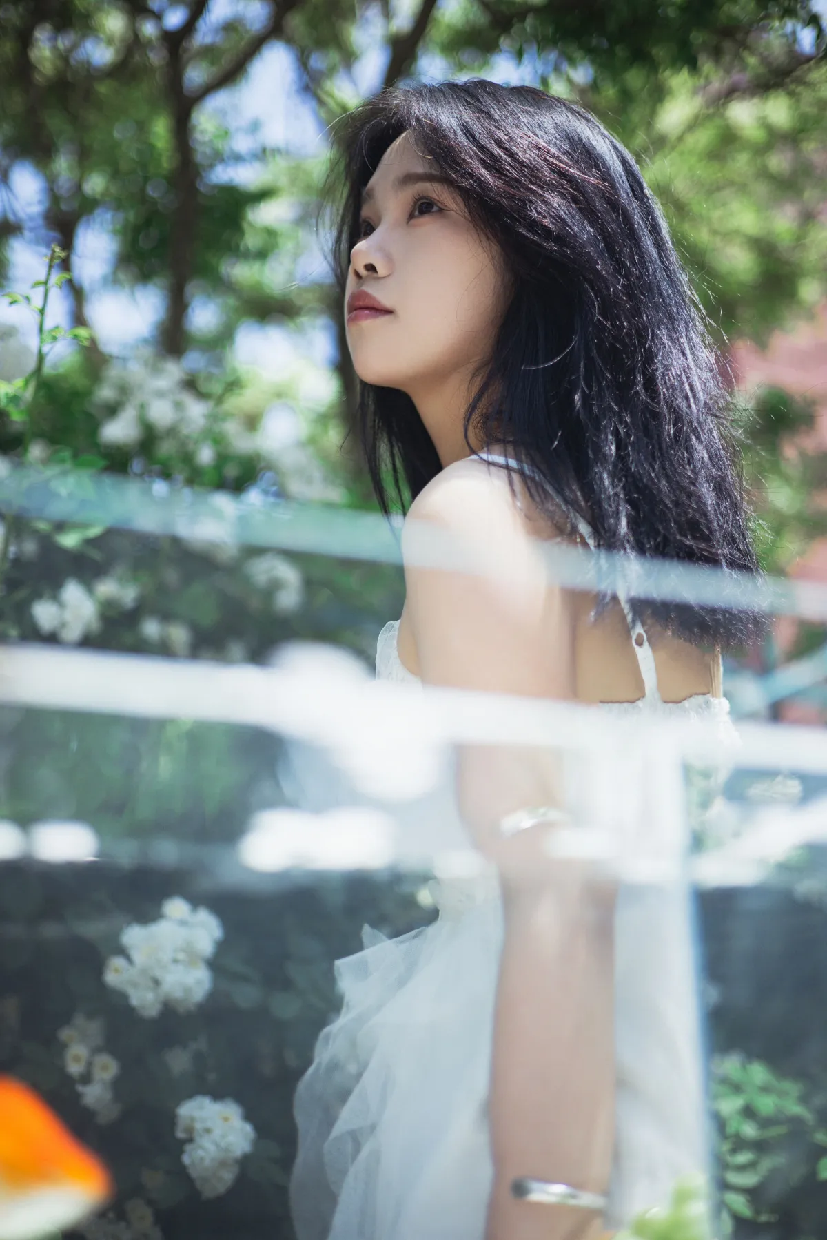 花间里，你是我的夏天