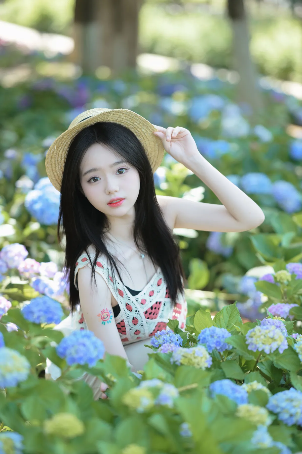 夏日绣球