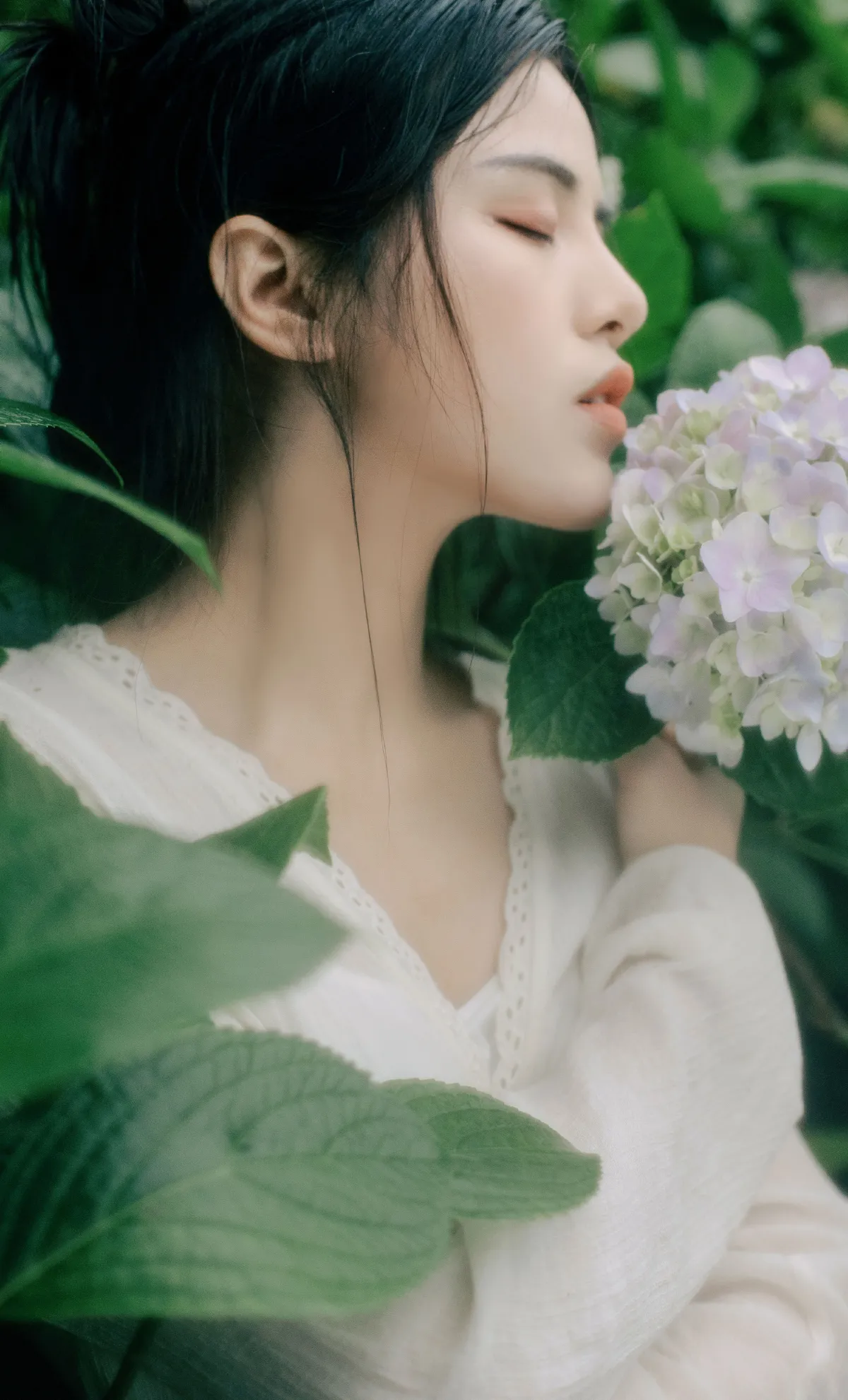 花开半夏3