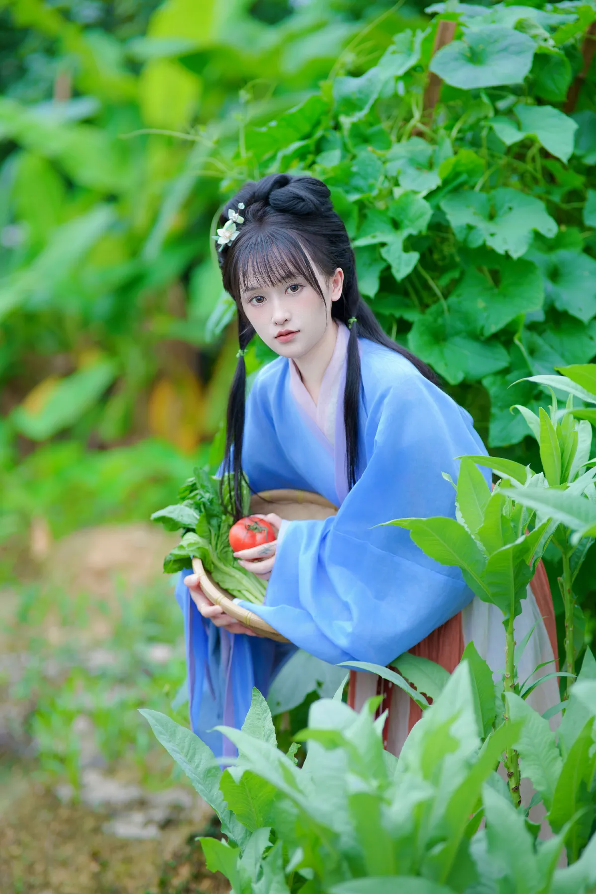 春日游1