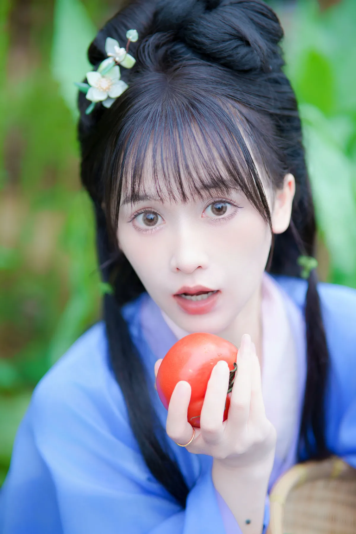 春日游3