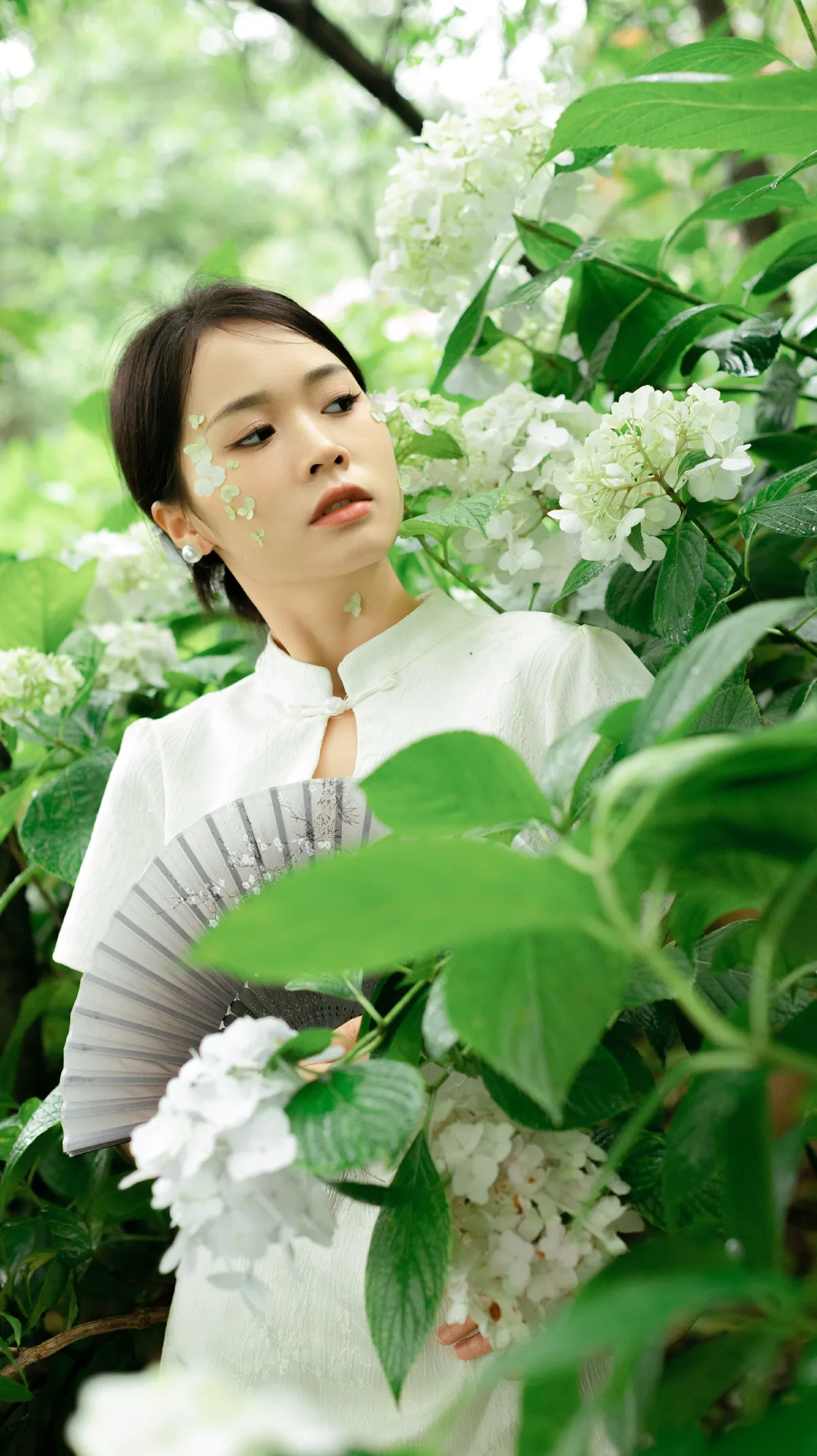 青陵_一《夏日染清凉》美图作品图片1