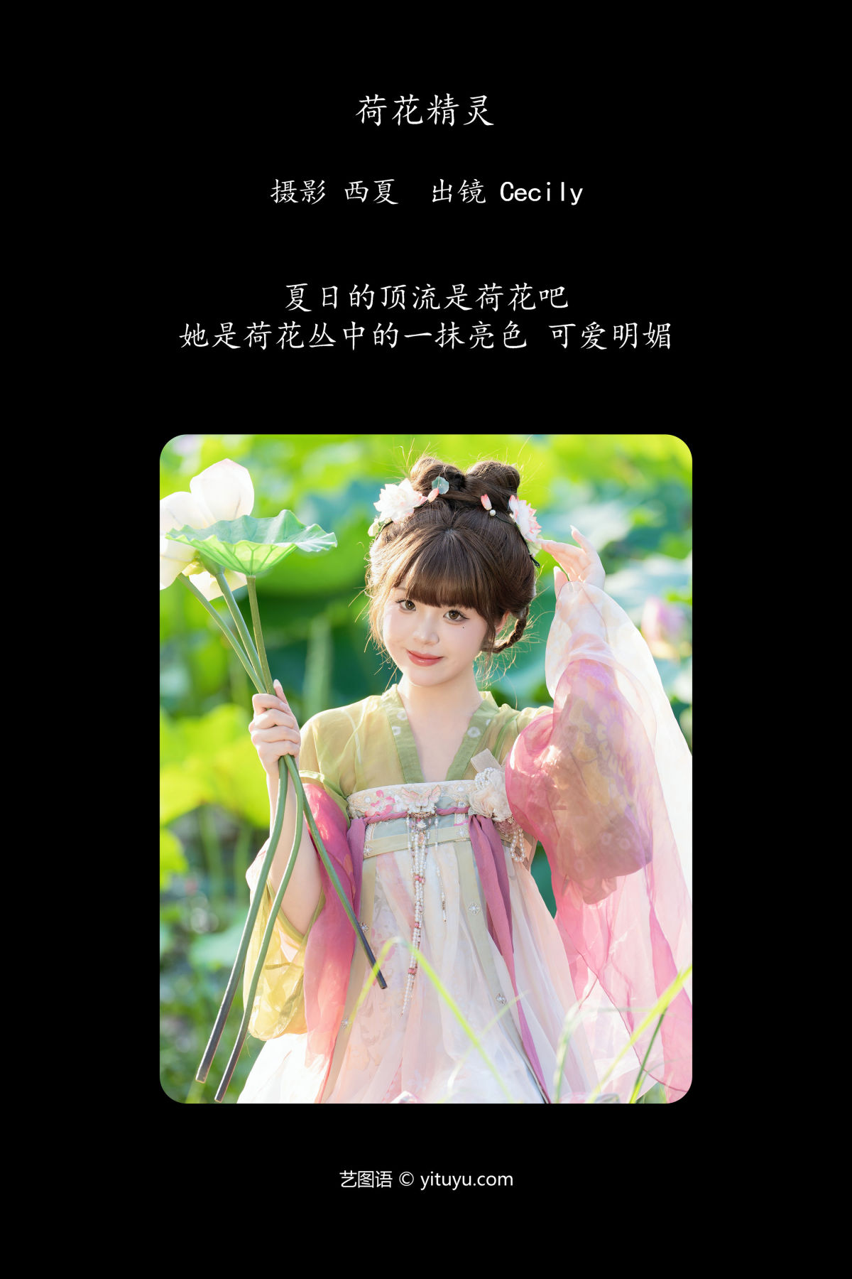 西夏_赛的过西莉吗《荷花精灵》美图作品图片2