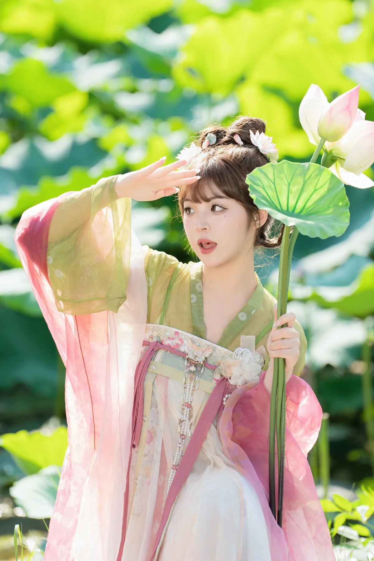 荷花精灵1