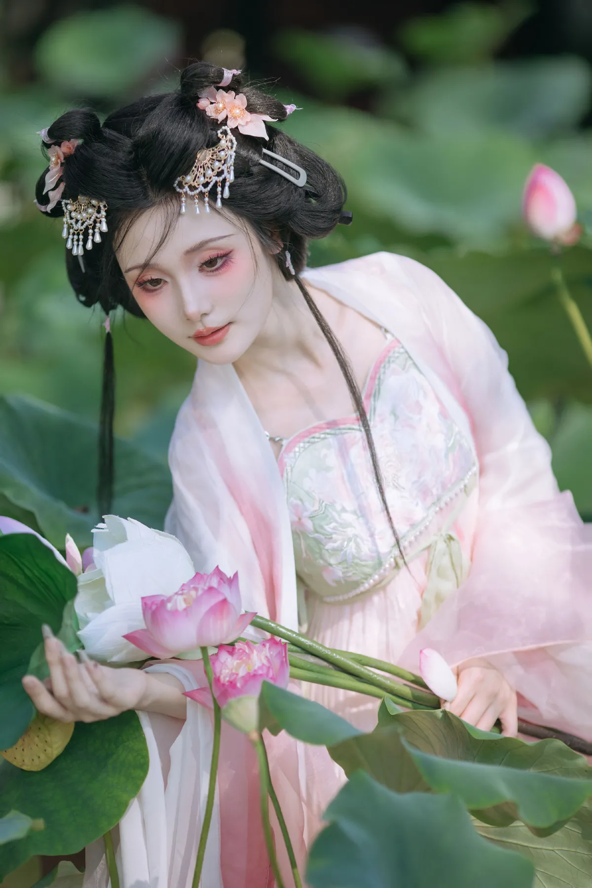 小荷仙