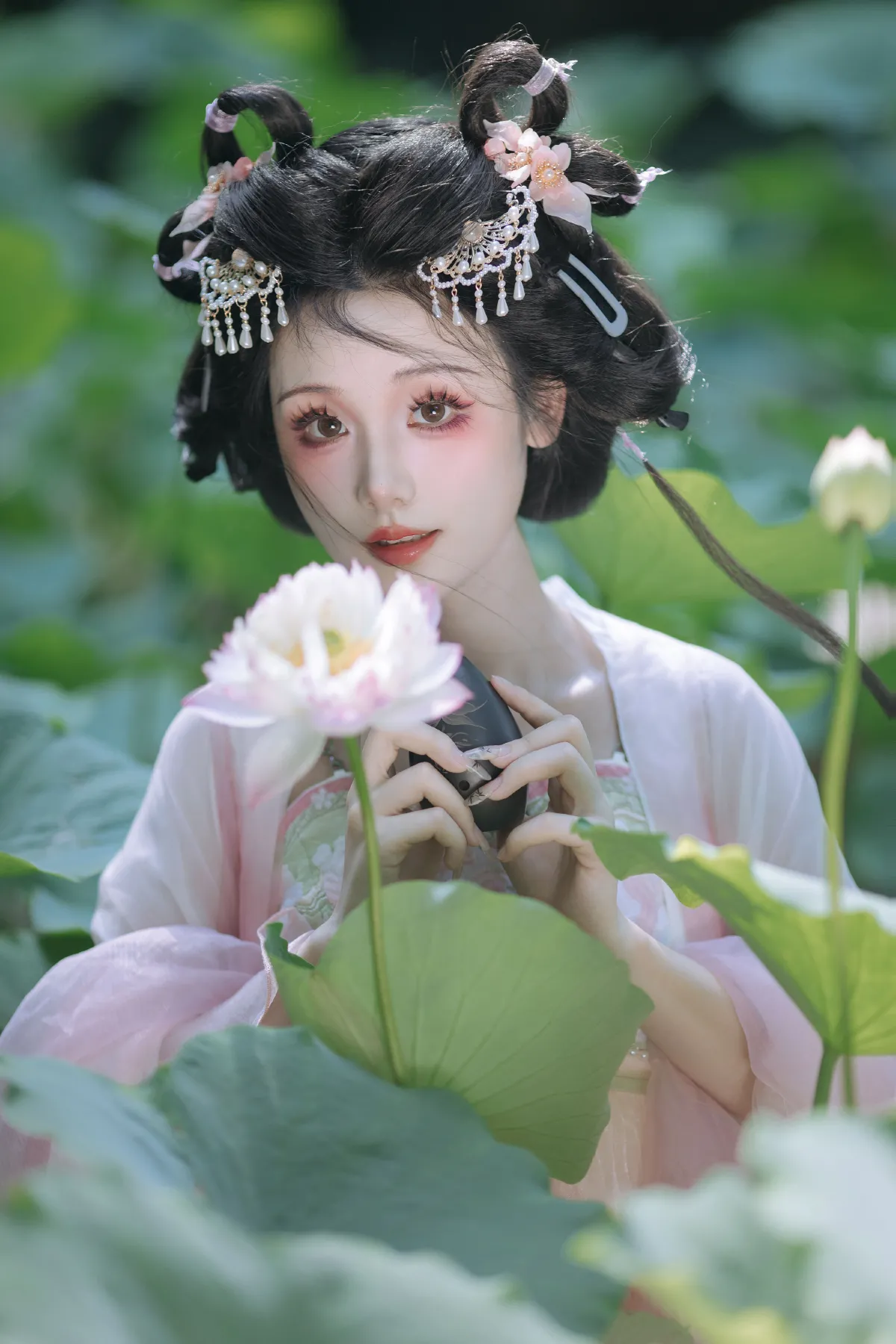 小荷仙